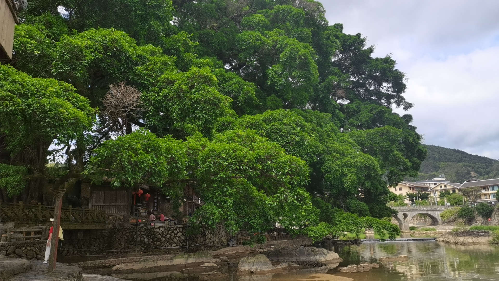 请说出一部老电影，证明你不再年轻李连杰版《少林寺》