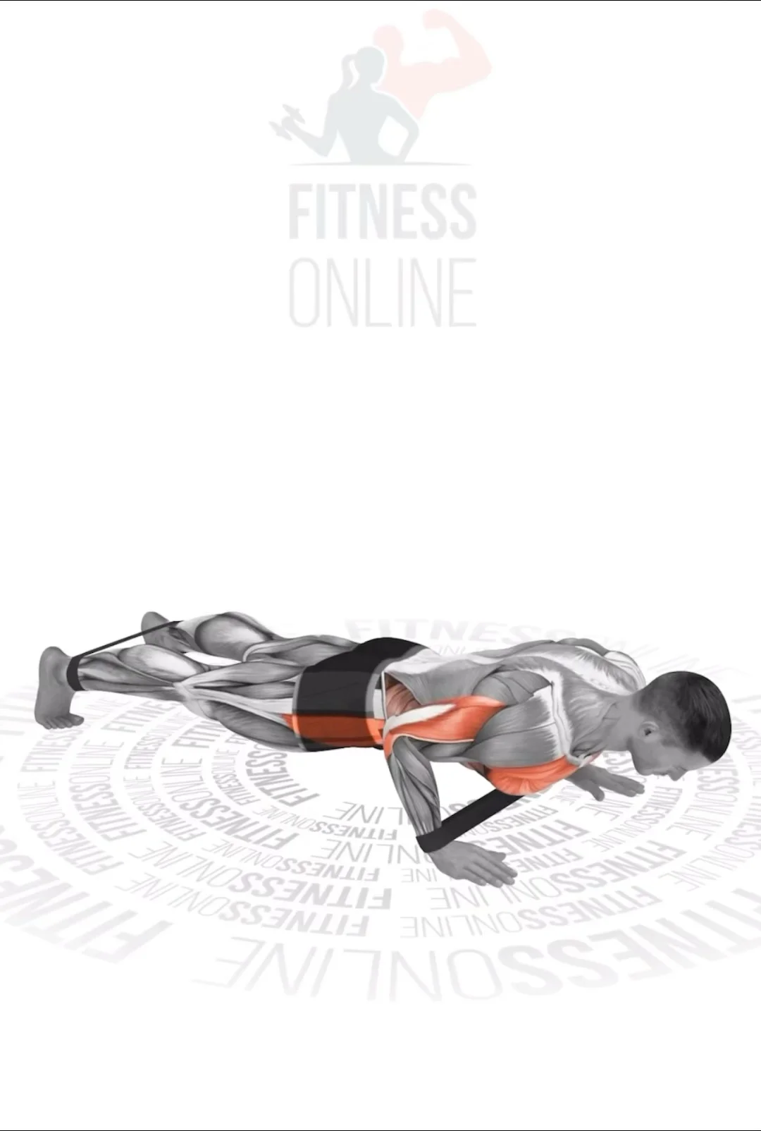 俯卧撑进阶指南📚 弹力带这样用