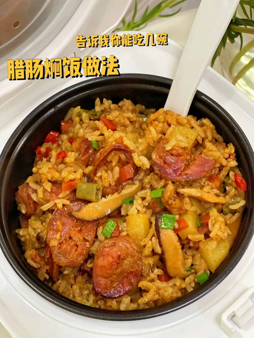 电饭煲懒人版腊肠土豆焖饭来啦好吃到舔盘子
