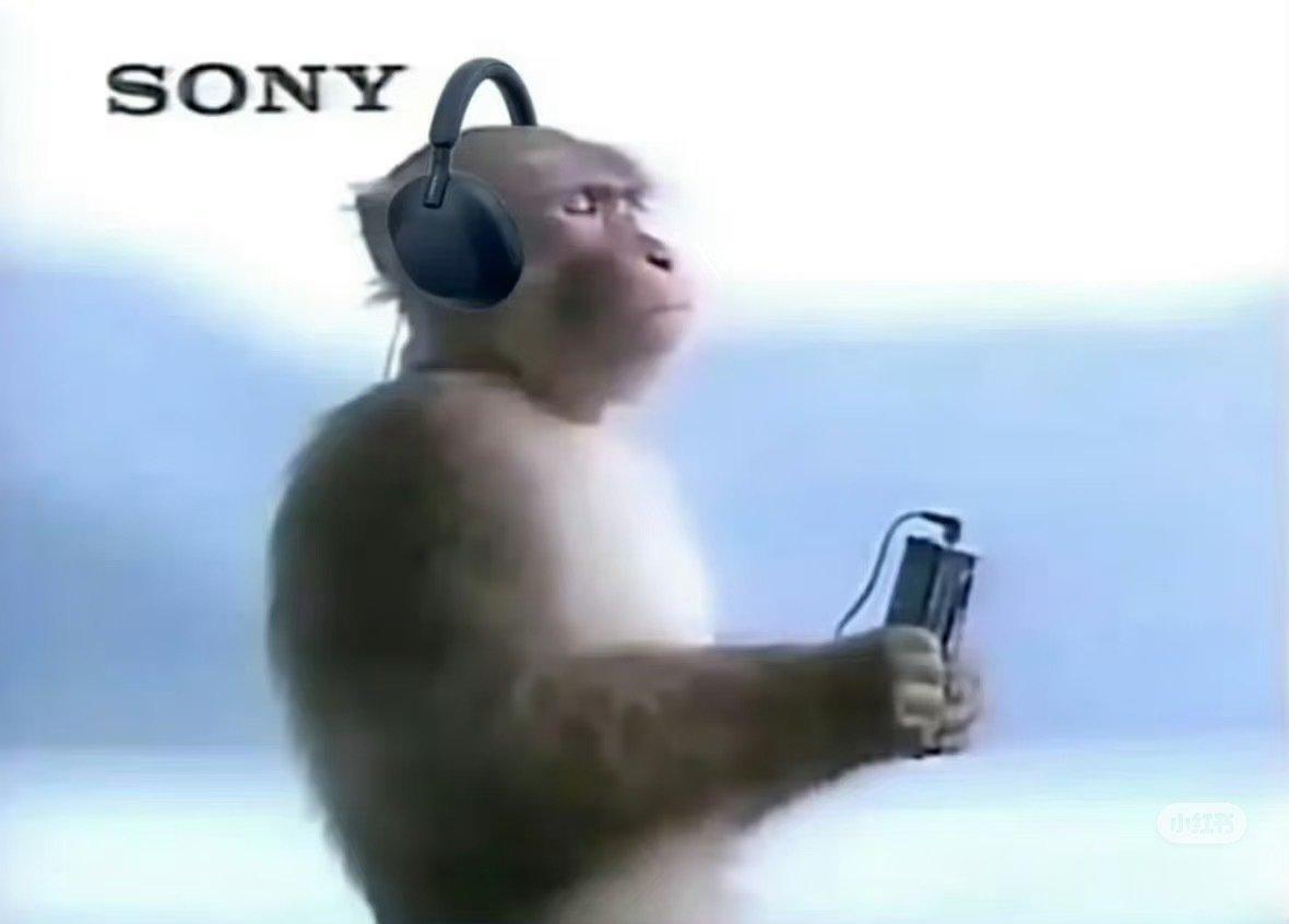 笑死，真的好像峨眉山上的索尼猴🐒 ​