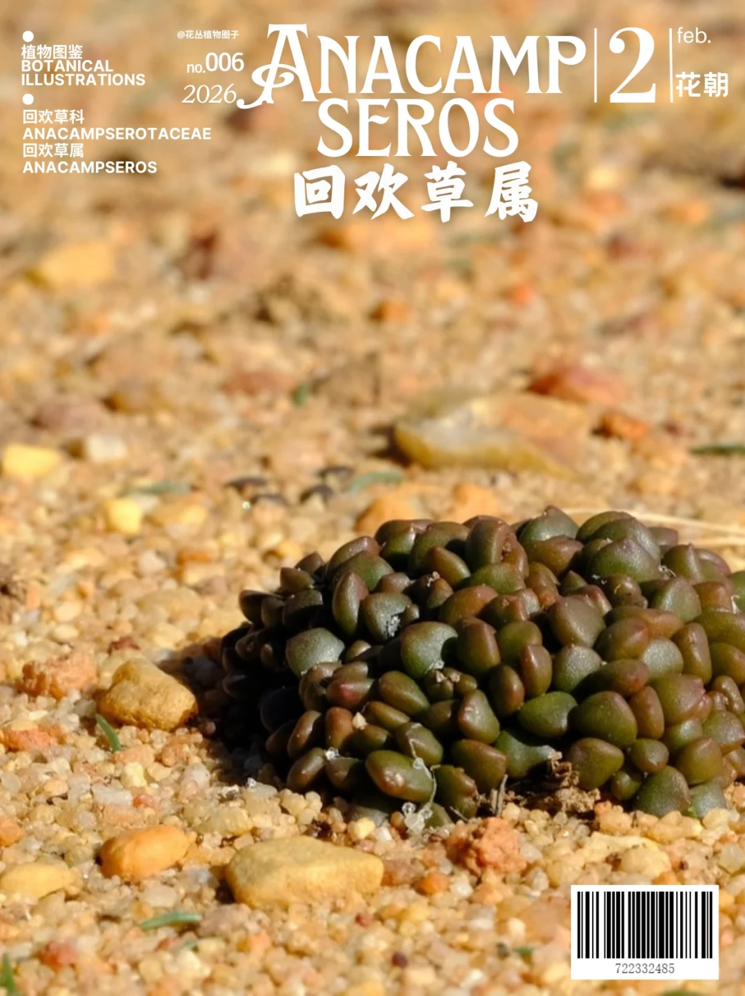 回欢草属 Anacampseros L.