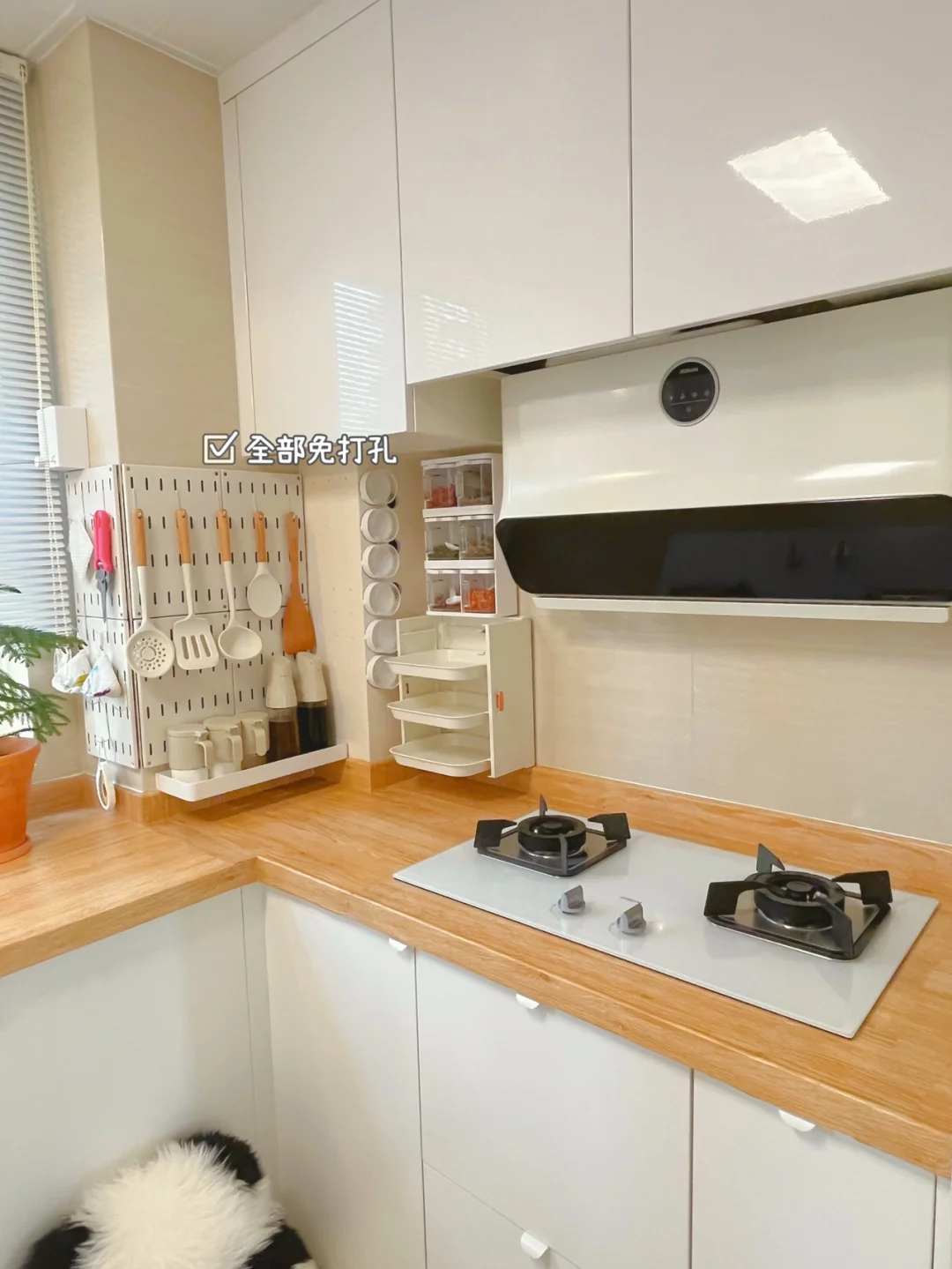 连婆婆都夸的厨房收纳，能差到哪去！