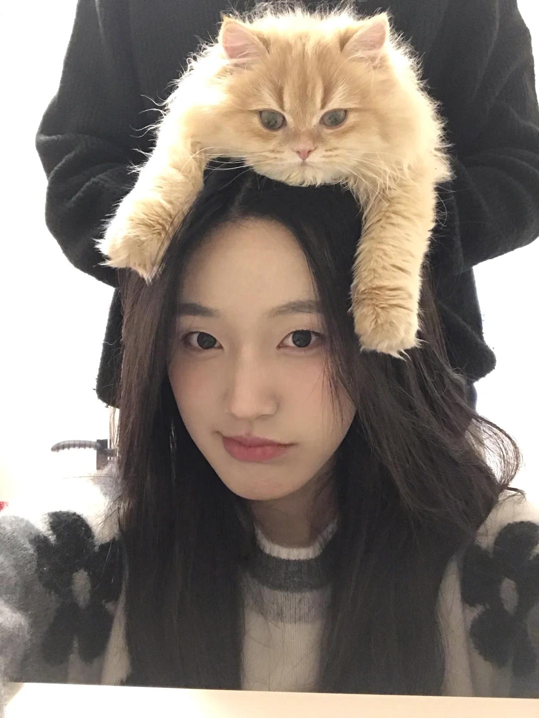 谁家小猫这么乖啊？站到我头上！