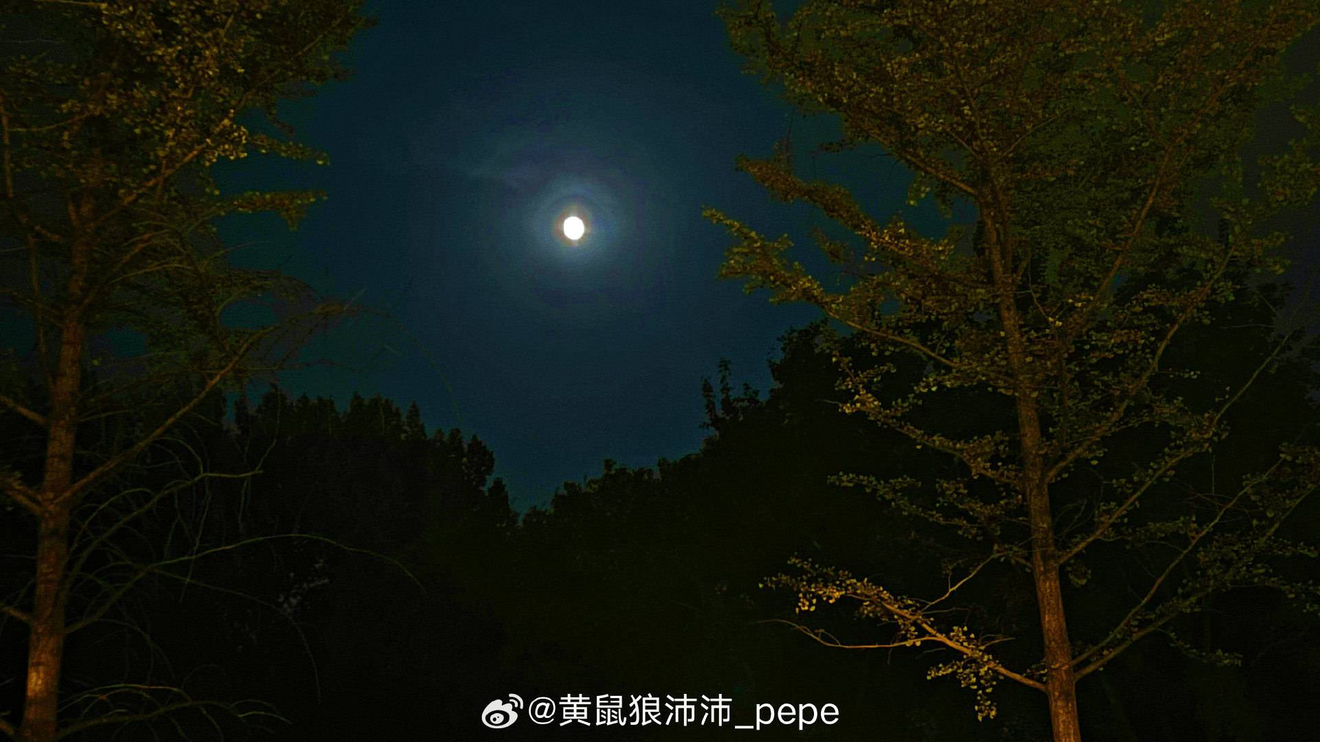 看天气预报，中秋假期要连下3天的雨，今晚赶紧去219稍微赏1下月 ​