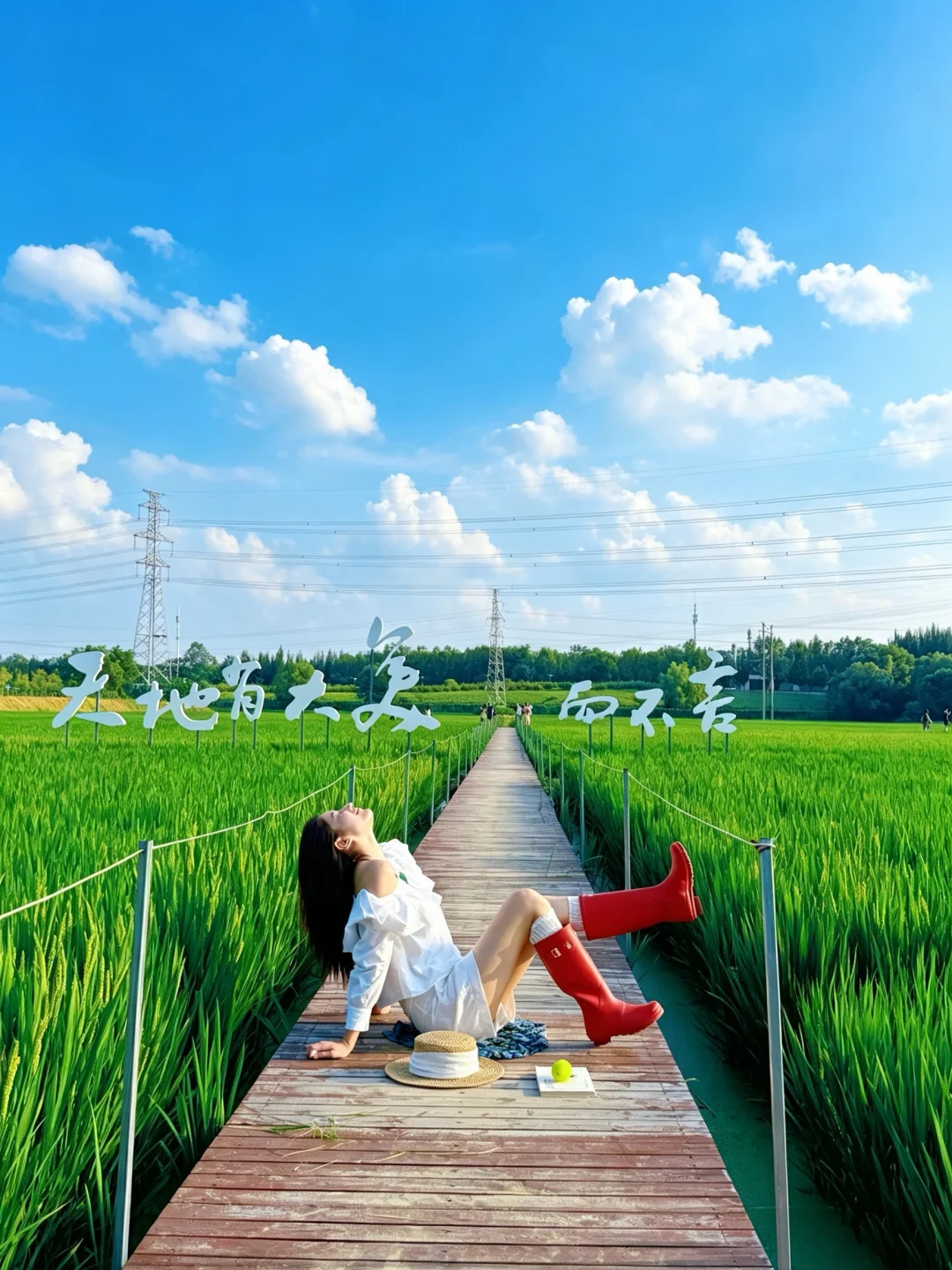 北京❗️我发现了周杰伦歌词里的稻田🗺️