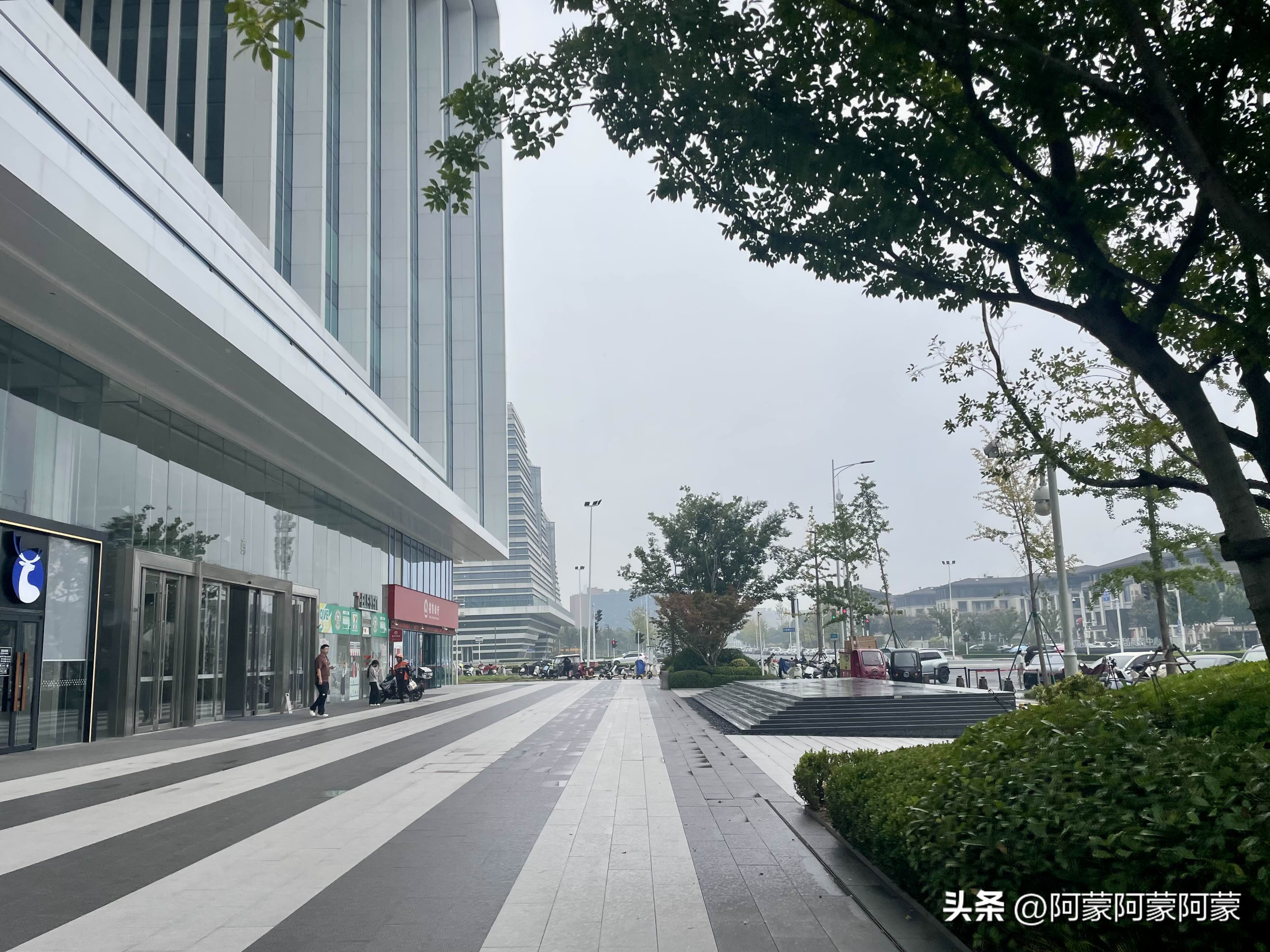 秋雨漫过如意西路，薄雾笼罩一座座现代楼宇。湿润的步道泛着微光，行道树浸在微凉水汽里，城市喧嚣淡去，一隅静谧，藏着郑东新区温柔的秋日氛围感。