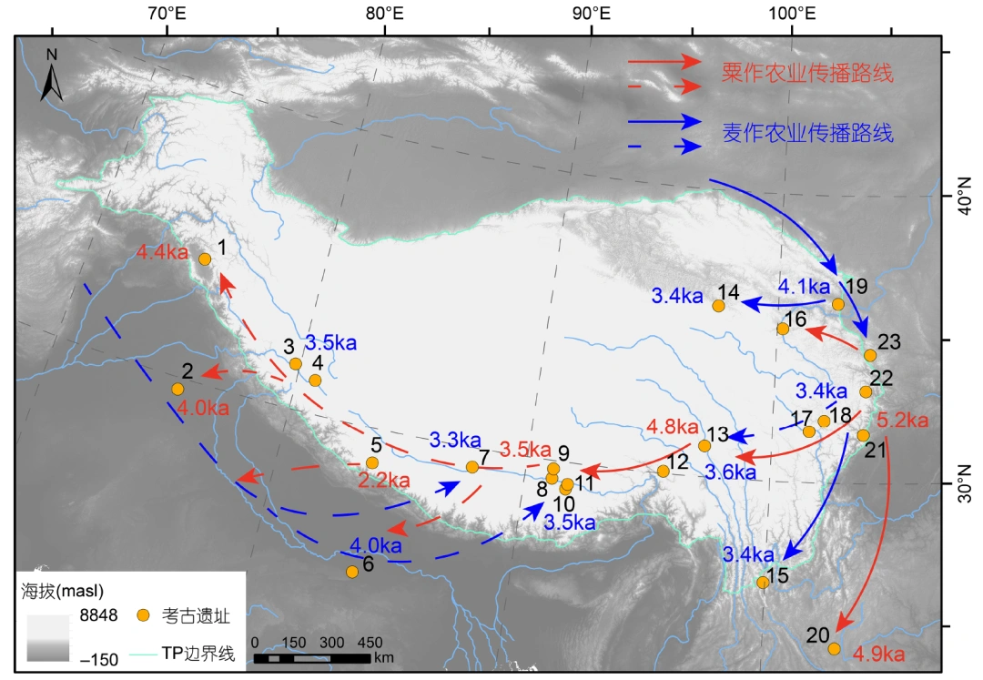 青藏高原农业种植的传播过程分析