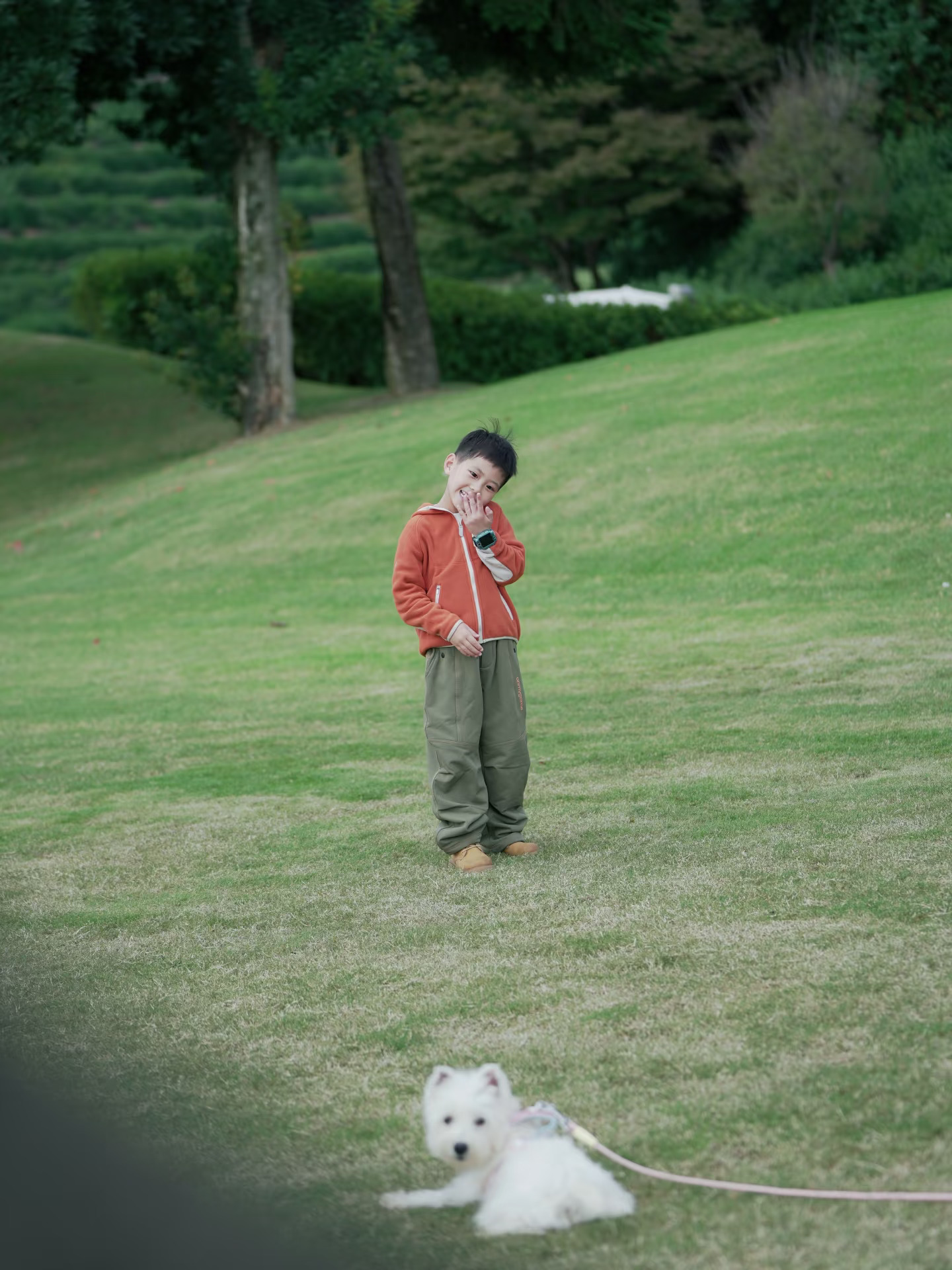 90后奶爸带娃+遛狗双重快乐！草地奔跑治愈
