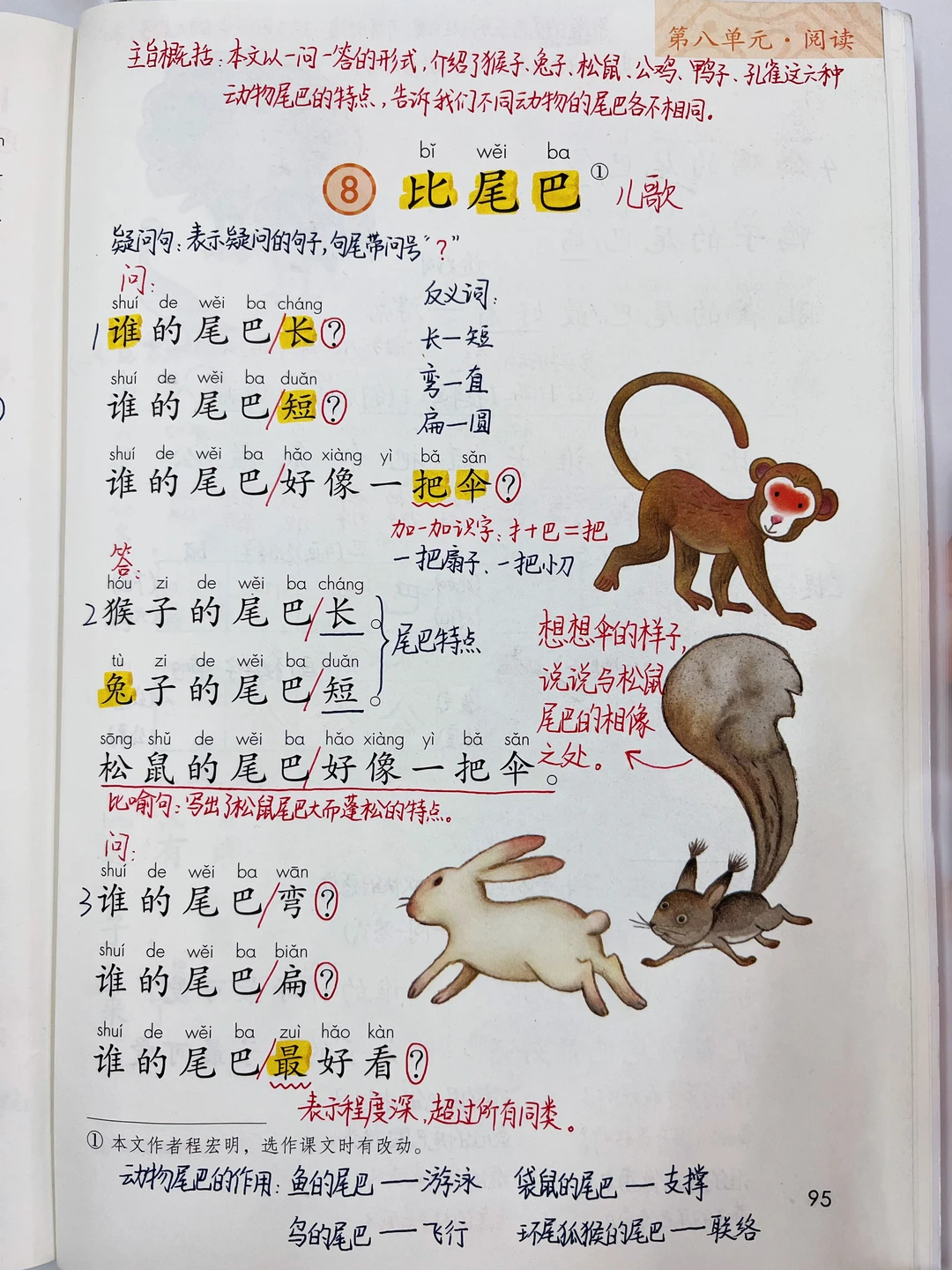 一年级上册语文｜8.《比尾巴》课堂笔记