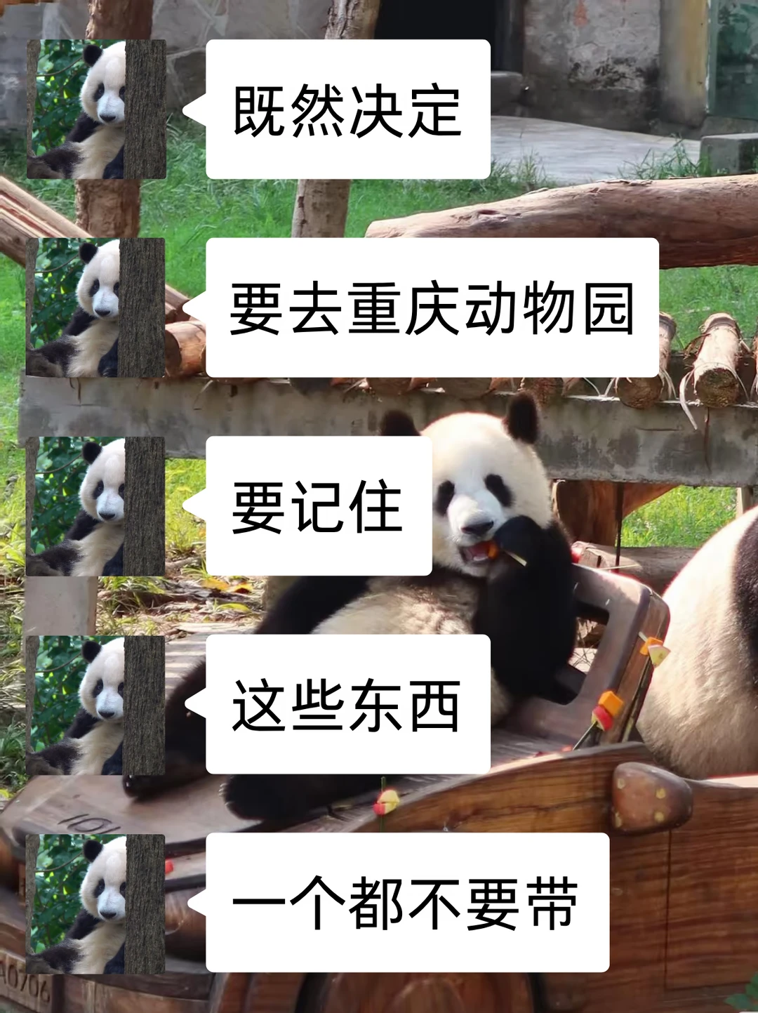 去重庆动物园看过来🙅‍♀️这些不要带