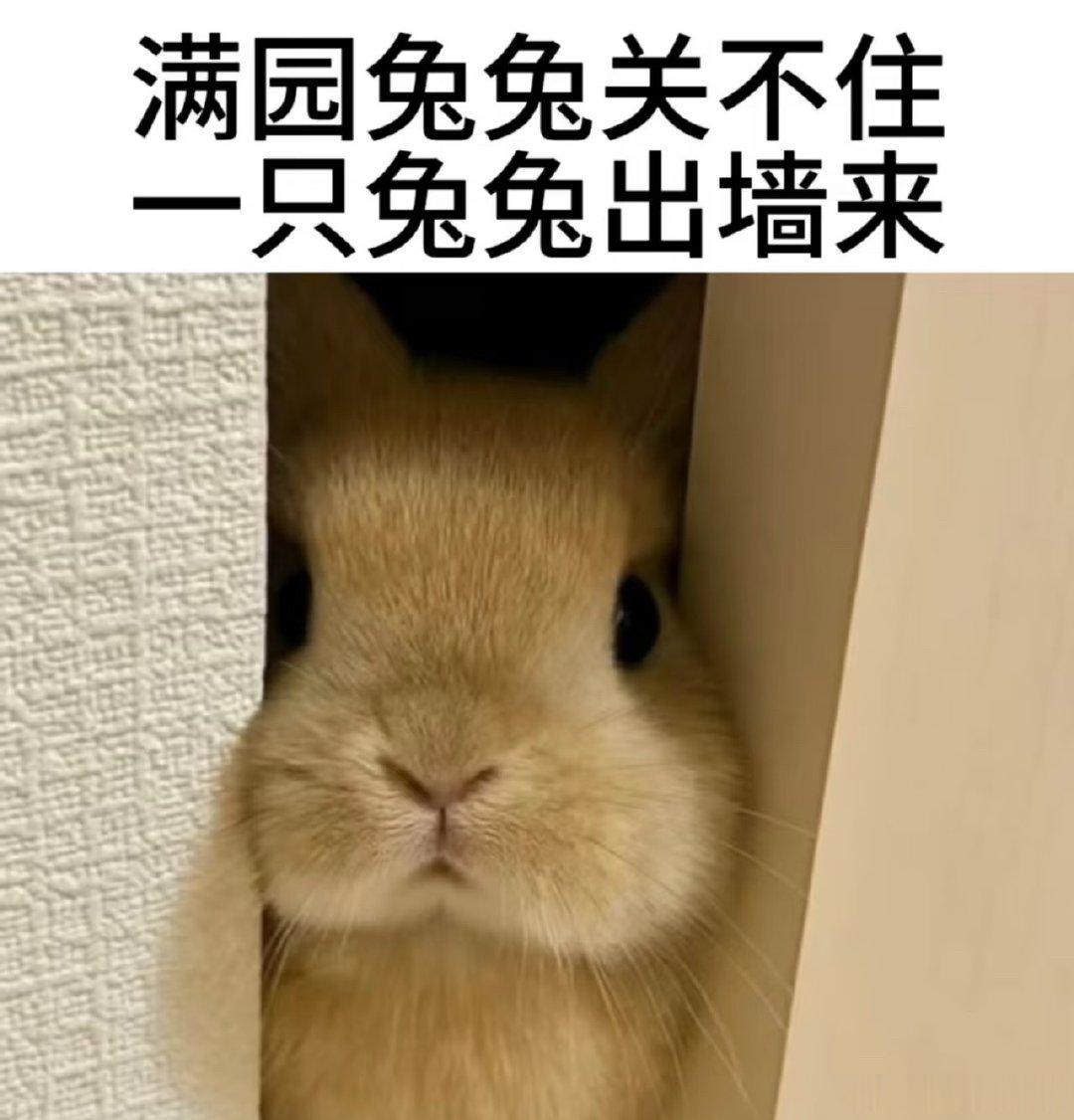 我现实中有个认识的人，刚才跟她私聊双删了。
她一开始还说，不懂我这人又咋了，但我真的觉得拳头痒痒的，并且觉得自己必须找她说清楚一切事情的脉络，以此讲明我的铁拳意志…并非是空穴来风。
事情的起因是她昨天下午突然问我有没有咖啡馆推荐，当时她正在外边跟人准备去喝咖啡。
我说出了一个店名， ​