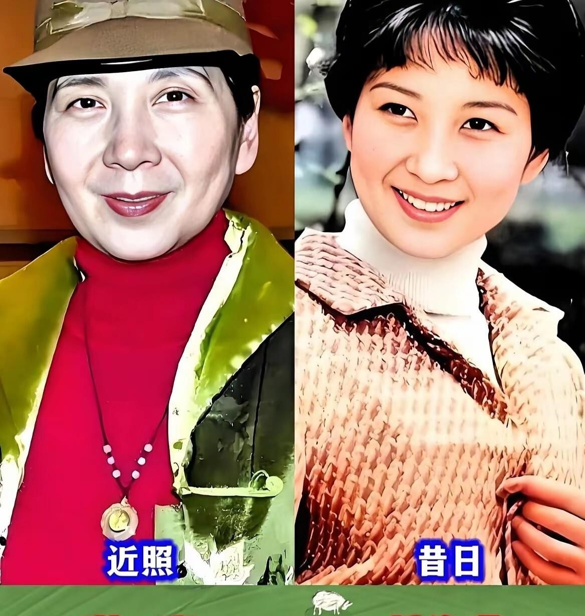 提起吴海燕，很多人还记得《海霞》里那个眼神清亮的姑娘。如今她上了年纪，谈吐从容，气质温婉，一个人住在上海的老洋房里，日子过得安静体面。
达式常也是大家熟悉的老艺术家，2023年还拄着拐杖上台领了金鸡奖的终身成就奖。85岁了，头发白了，背也弯了，但那股儒雅的劲儿还在。
还有陈红，当年《三国演义》里的貂