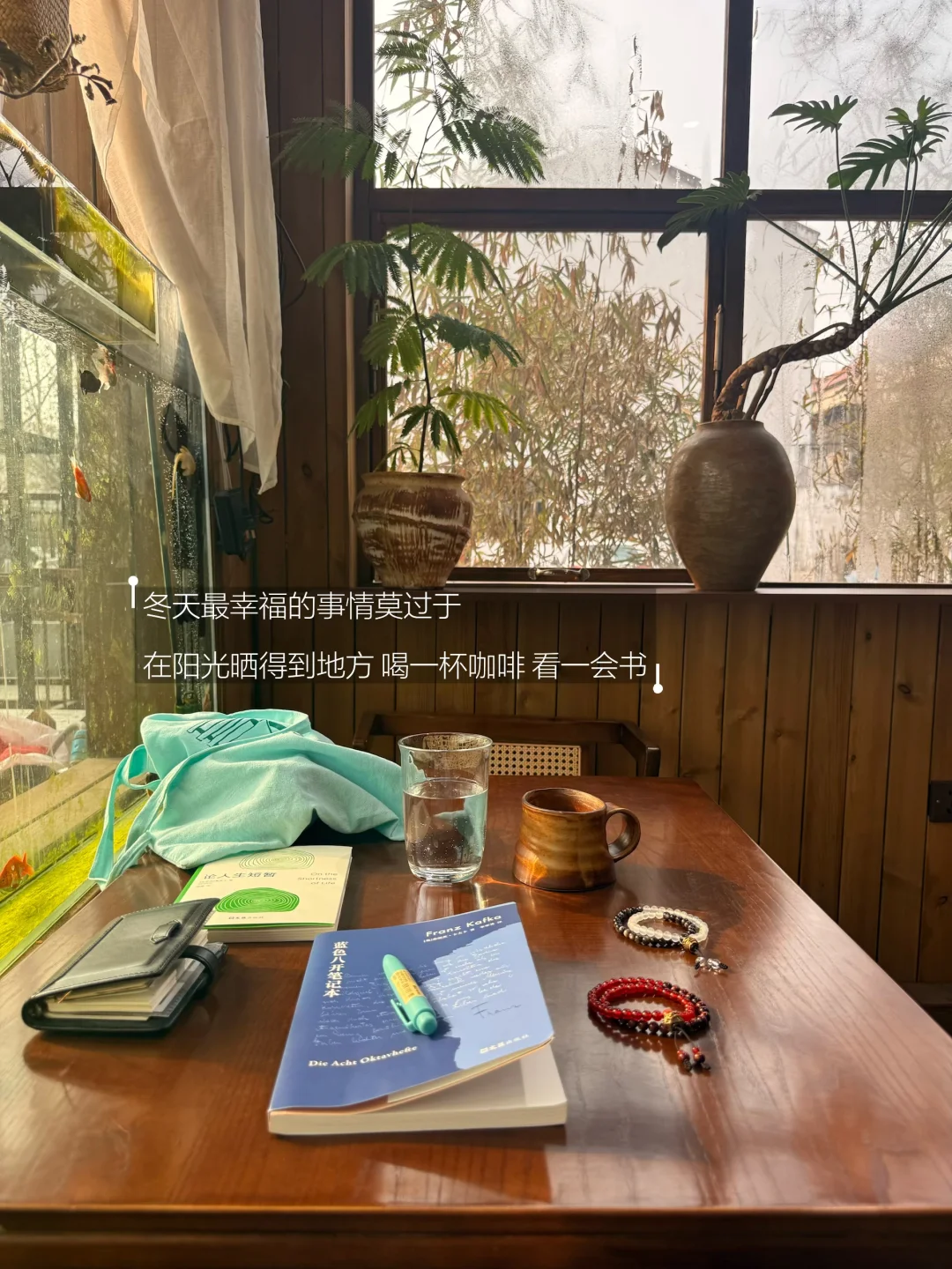 在晒太阳和阅读中恢复能量。