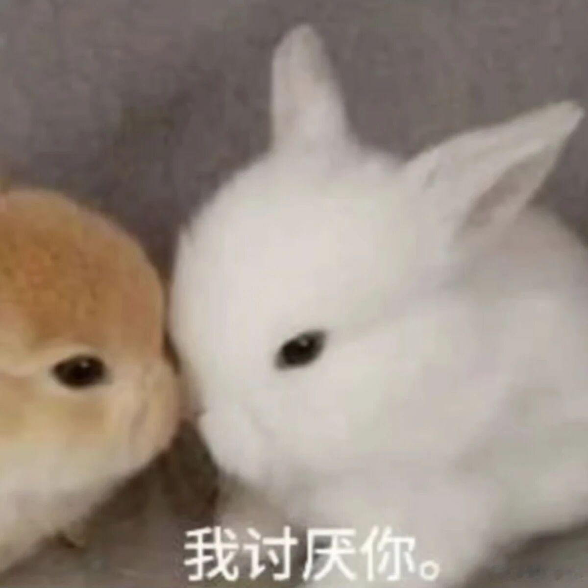 这周以来我感觉我的生活上升到了next level，并且这个level...
