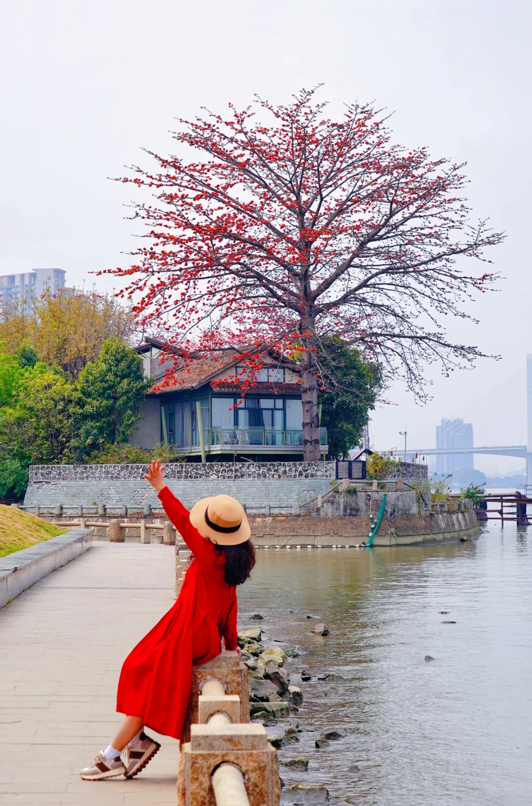 地铁直达🌺与广州之窗同框的江边木棉花
