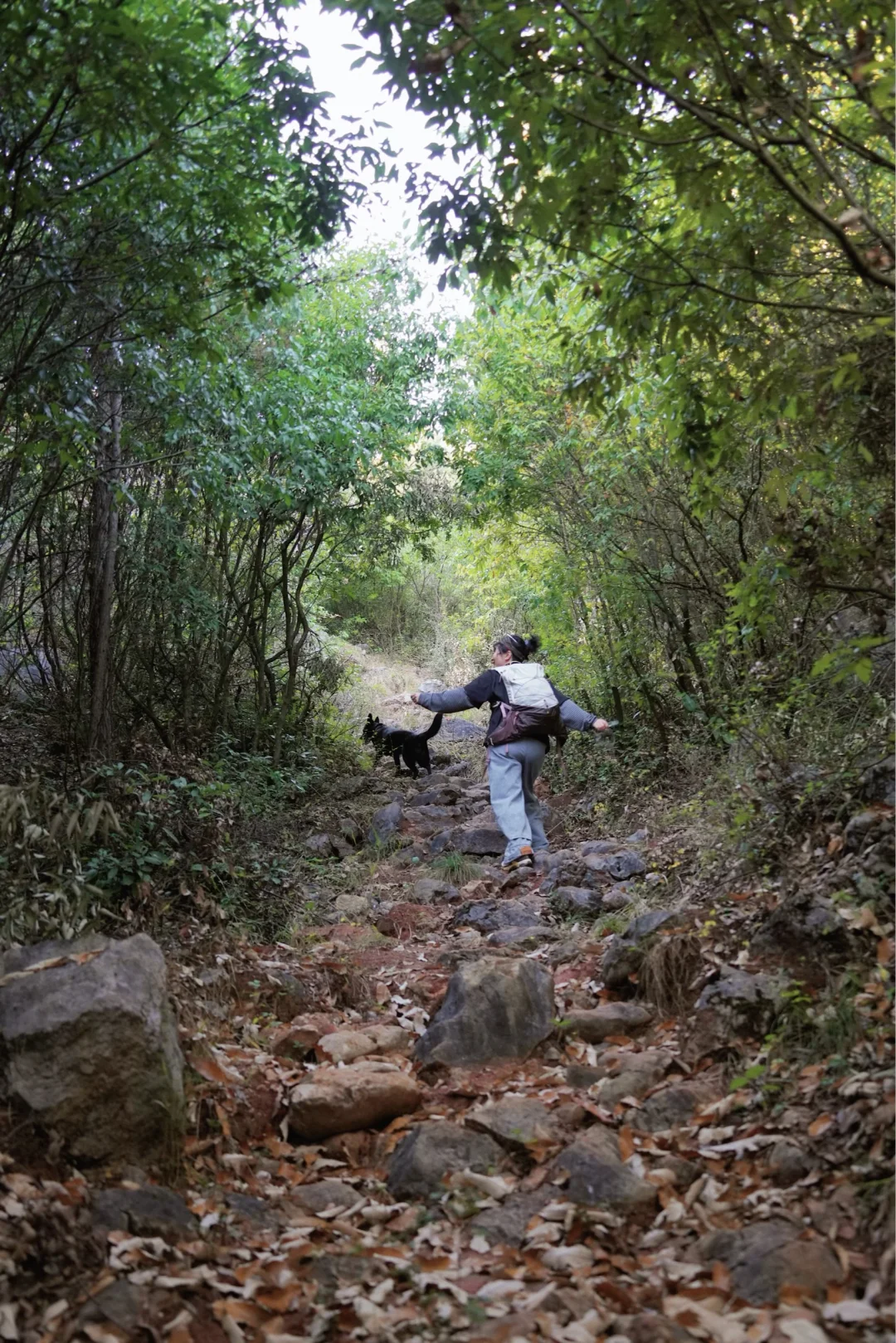 带狗徒步沙朗古道｜昆明周边40分钟静谧之地