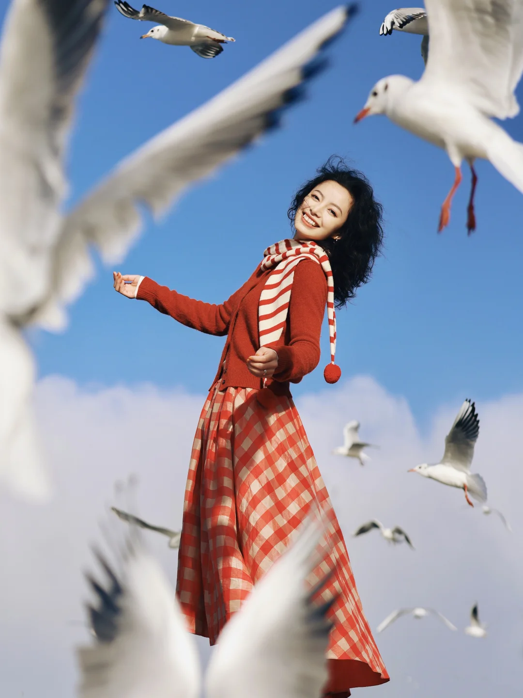 我的自由与生命力，海鸥都知道！