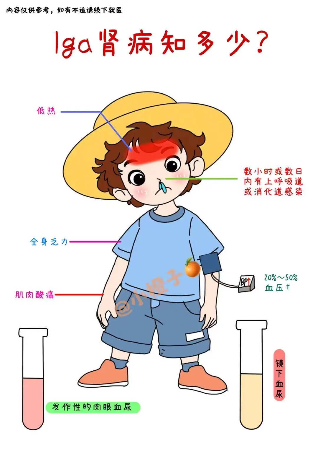 成人IgA预审指南说‼️iga肾🧊底层逻辑