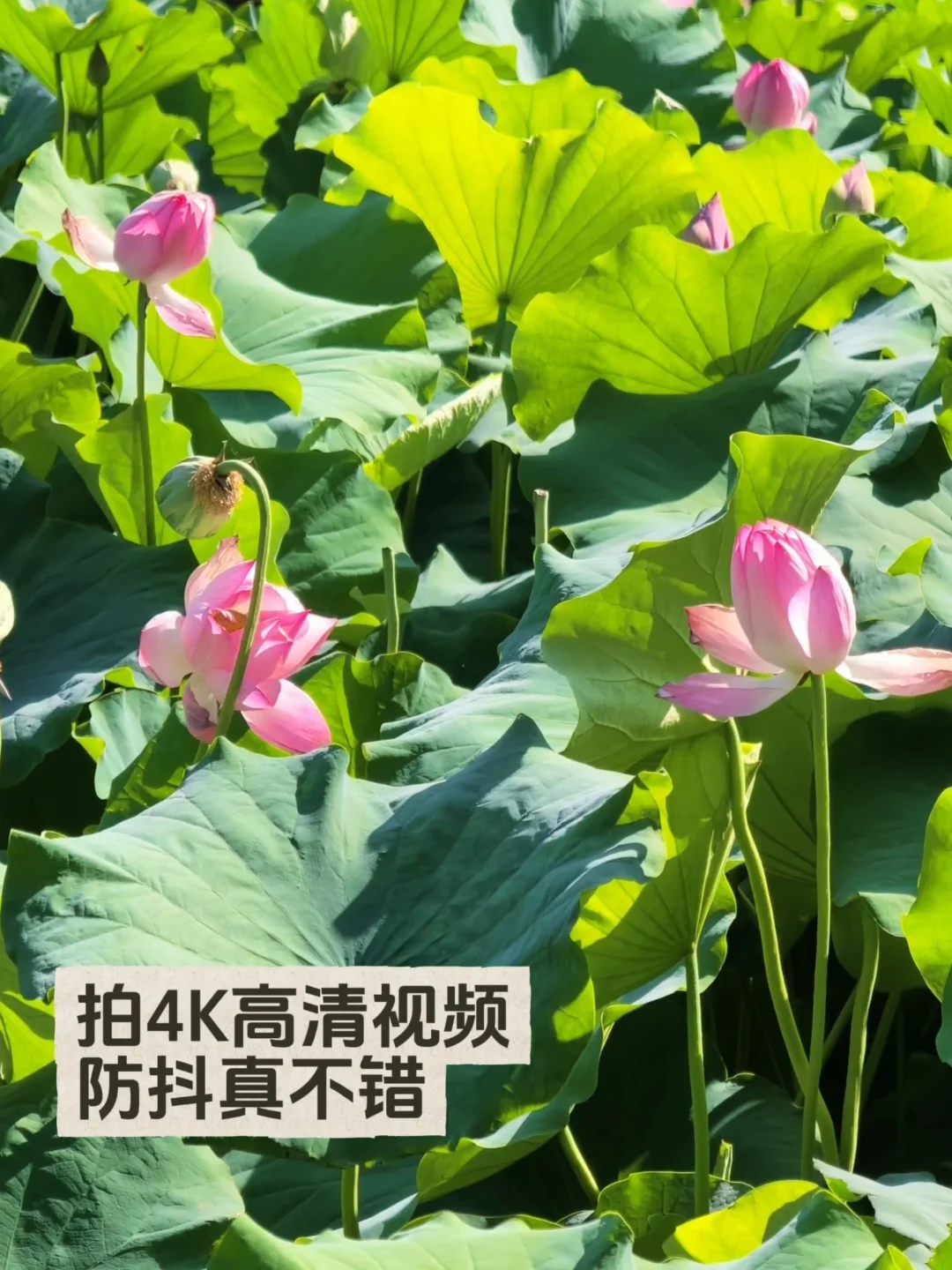 Pura 90 Pro Max防抖实测，边走边拍
