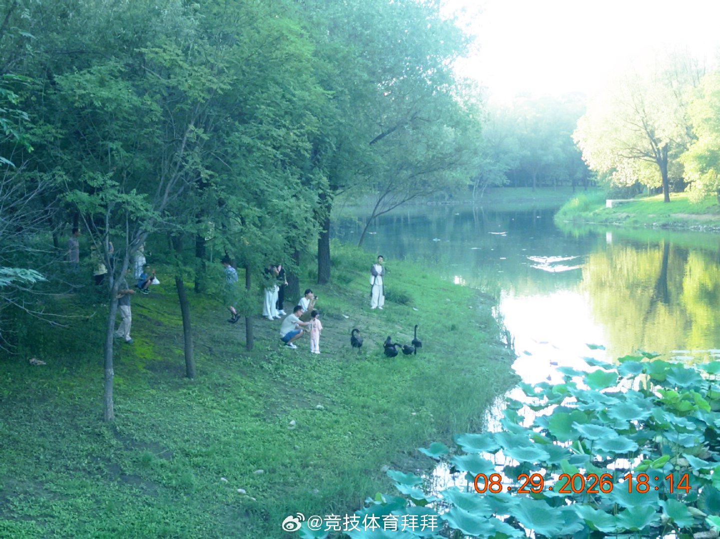 下午和妈妈临时起意去看年会不能停
从华贸天地出来
当我意识到这是暑假最后一天时 又deja vu了 ​