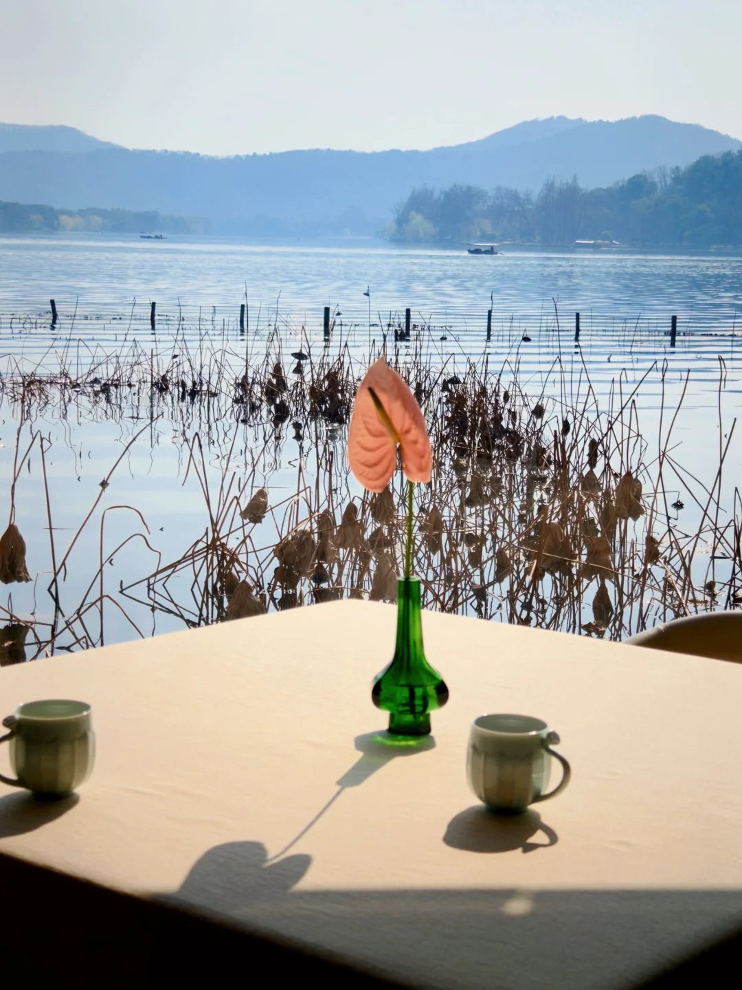 西湖边的姑苏味！被这家新酒店狠狠种草