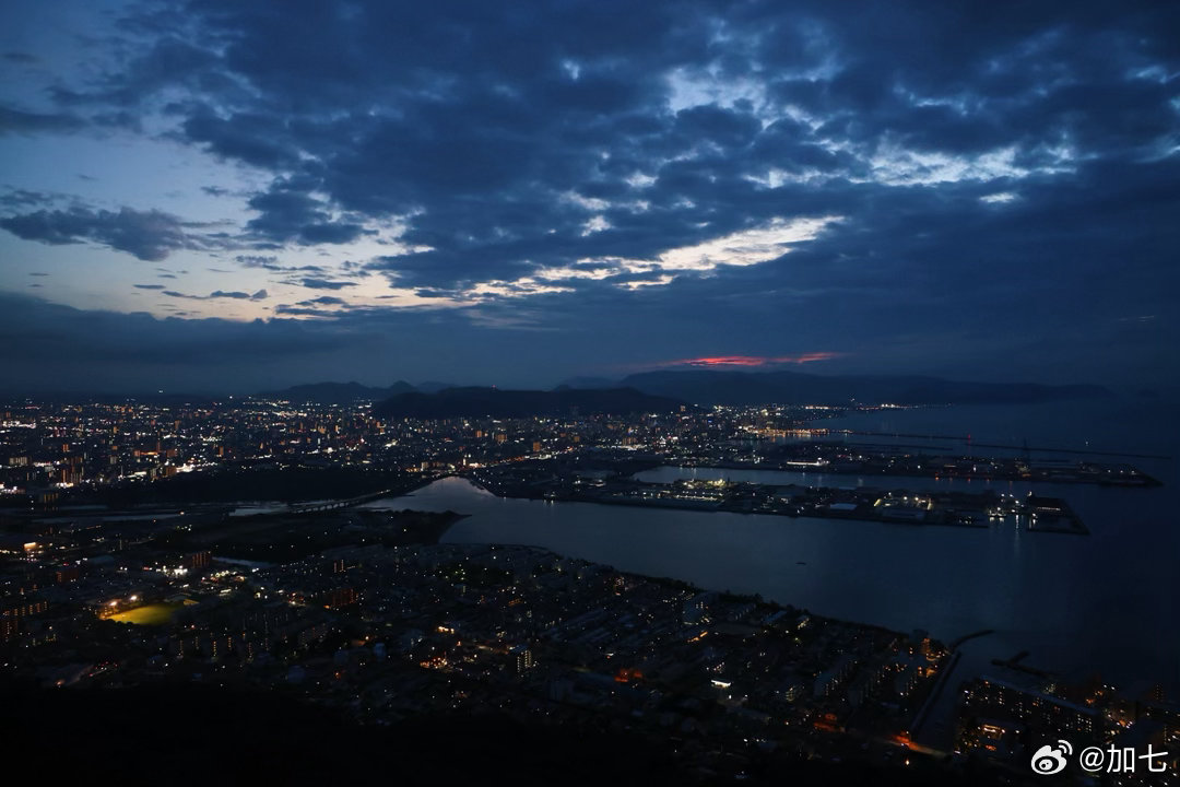 看完高松的夜景就连屋岛的小猫都挡在我的车前不舍得我离开了…🥺 ​​​