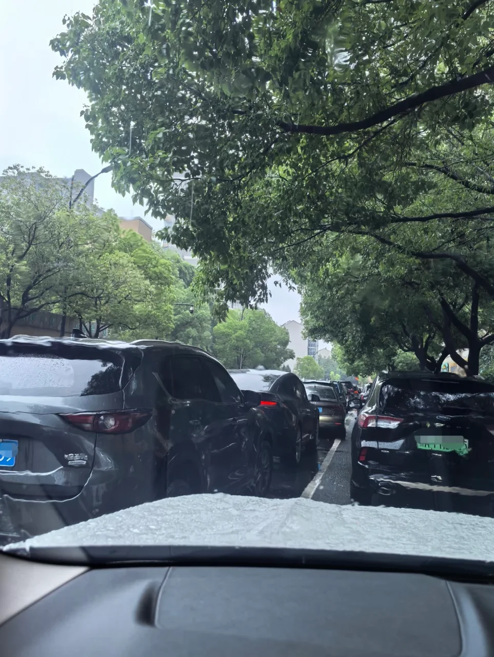 一年级新生家长接送，只求一个稳
