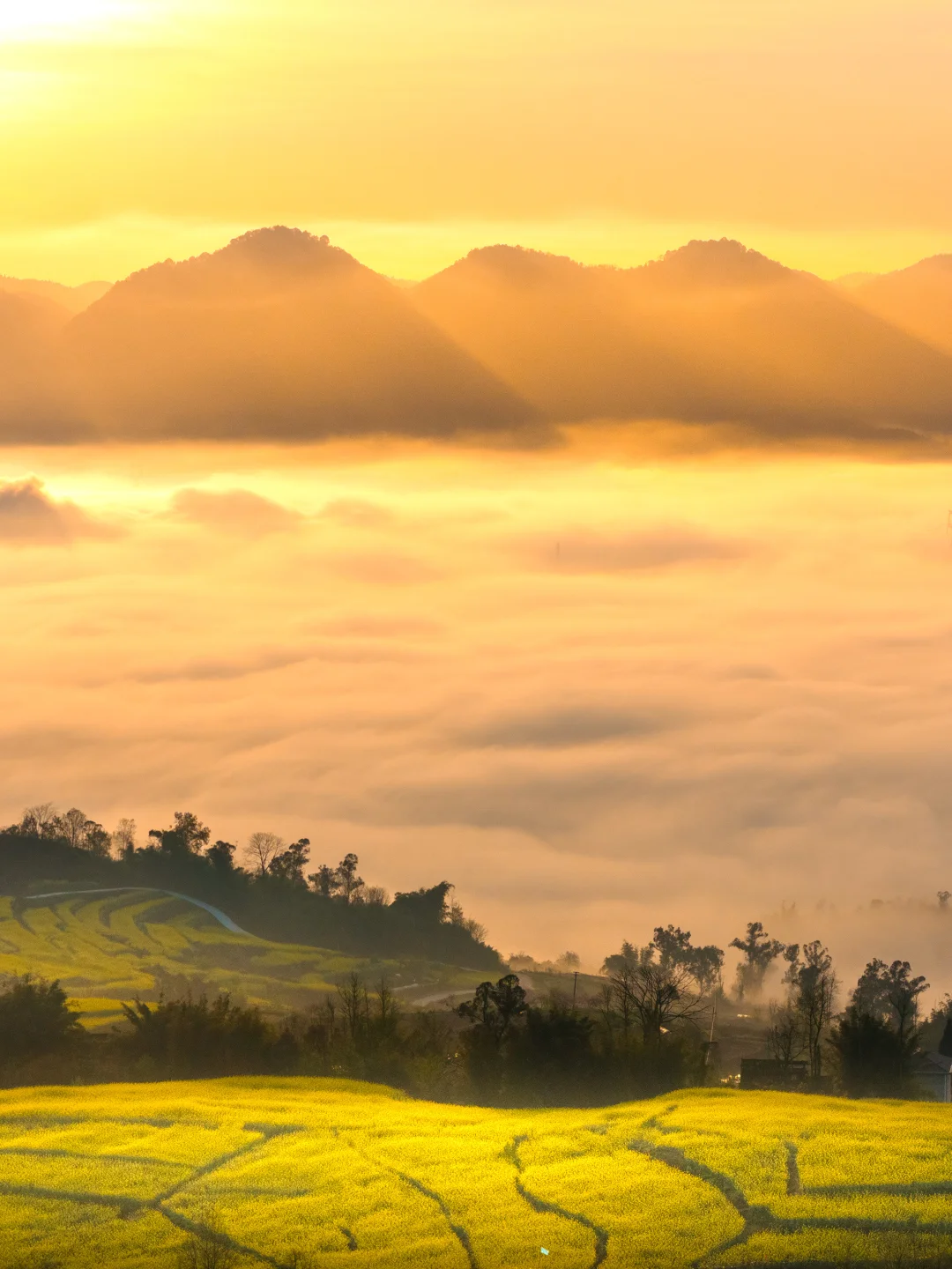 朋友说，这不可能是重庆