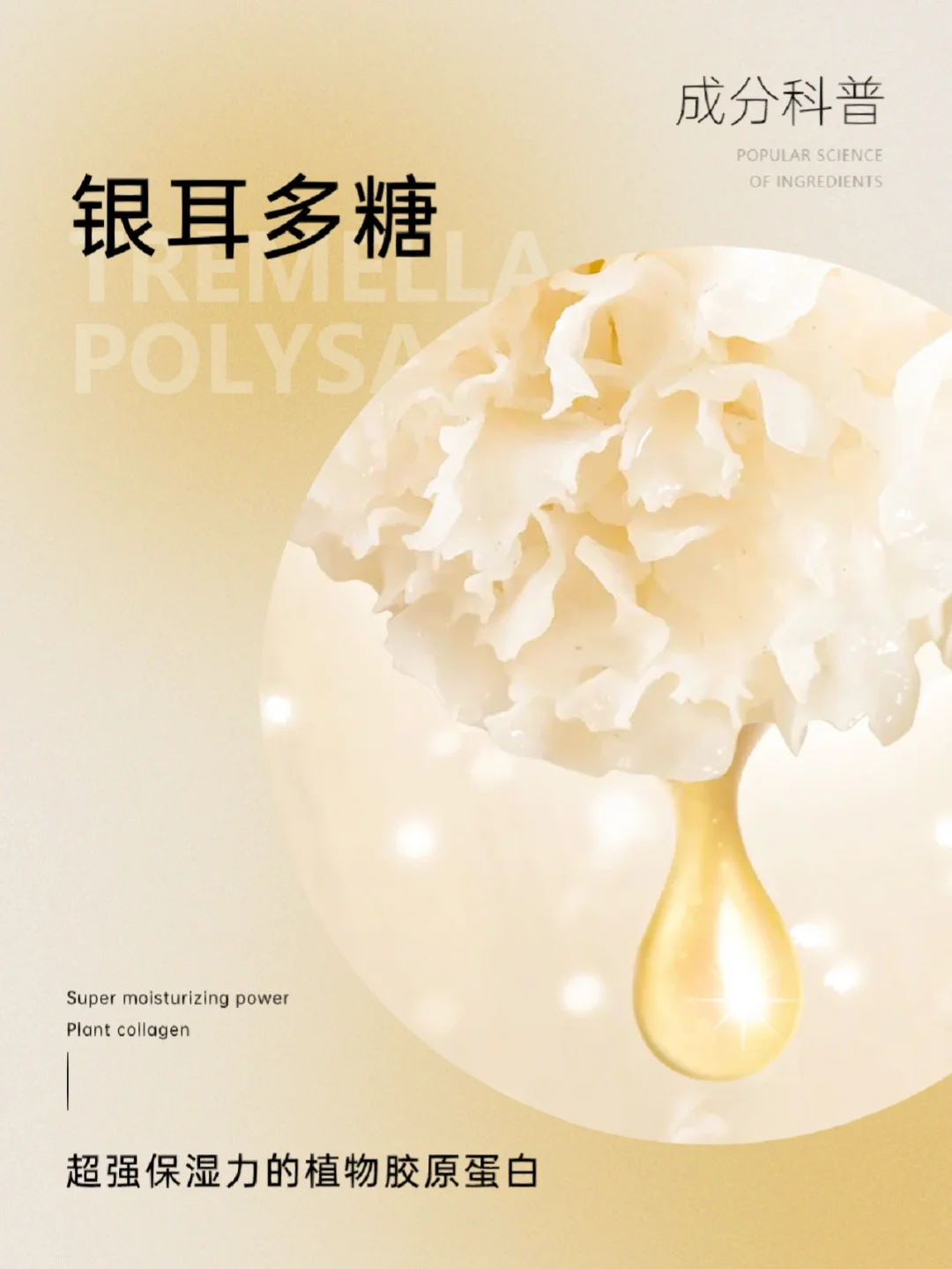 成分科普|保湿的植物胶原蛋白——银耳多糖