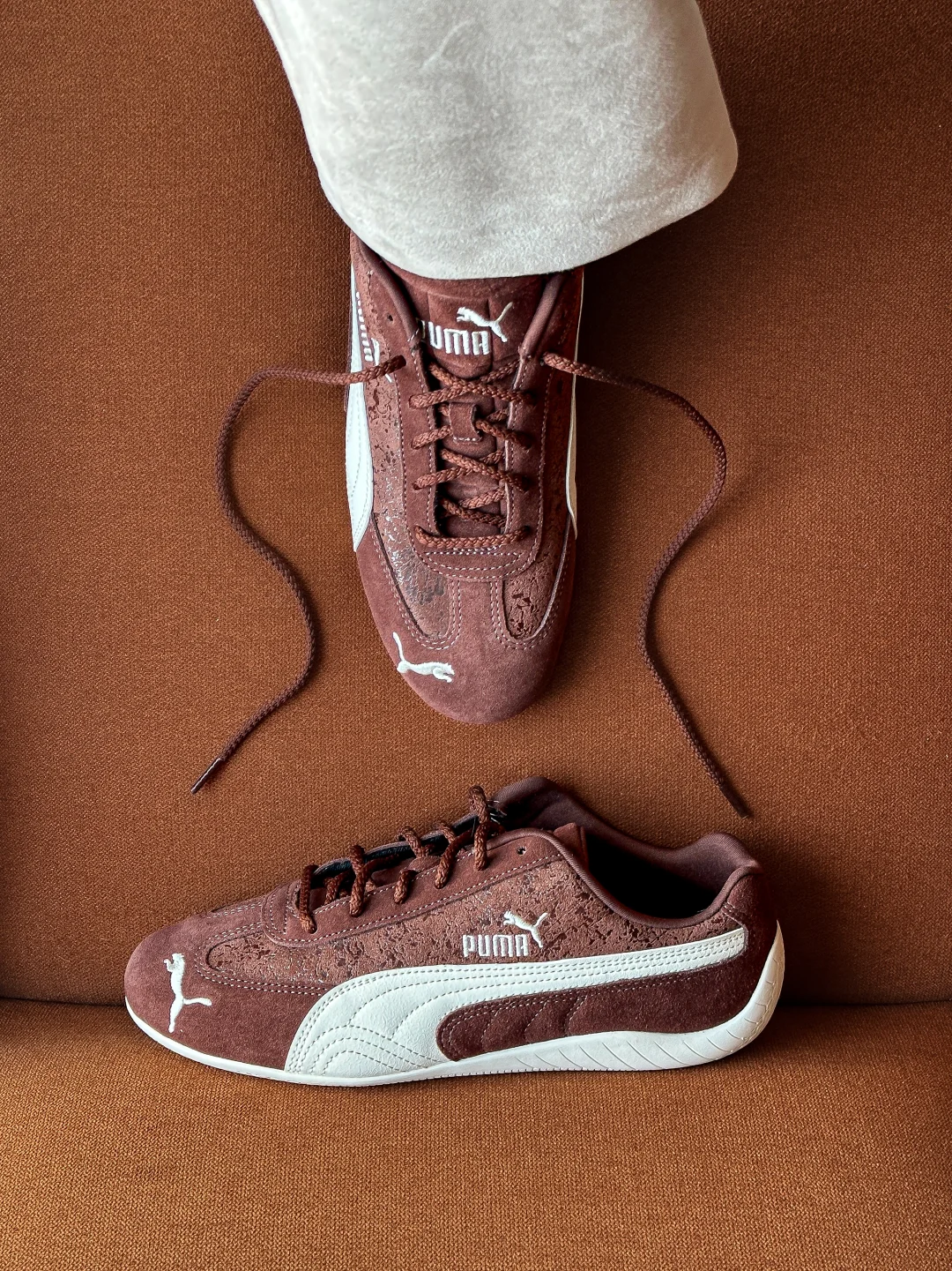 🍫巧克力小豹子｜情人节💌超级甜