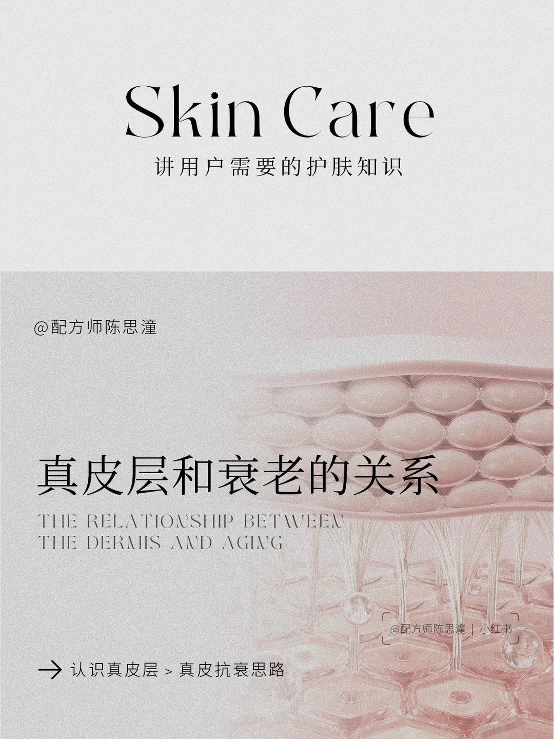 护肤知识｜真皮层和衰老的关系，如何抗衰？