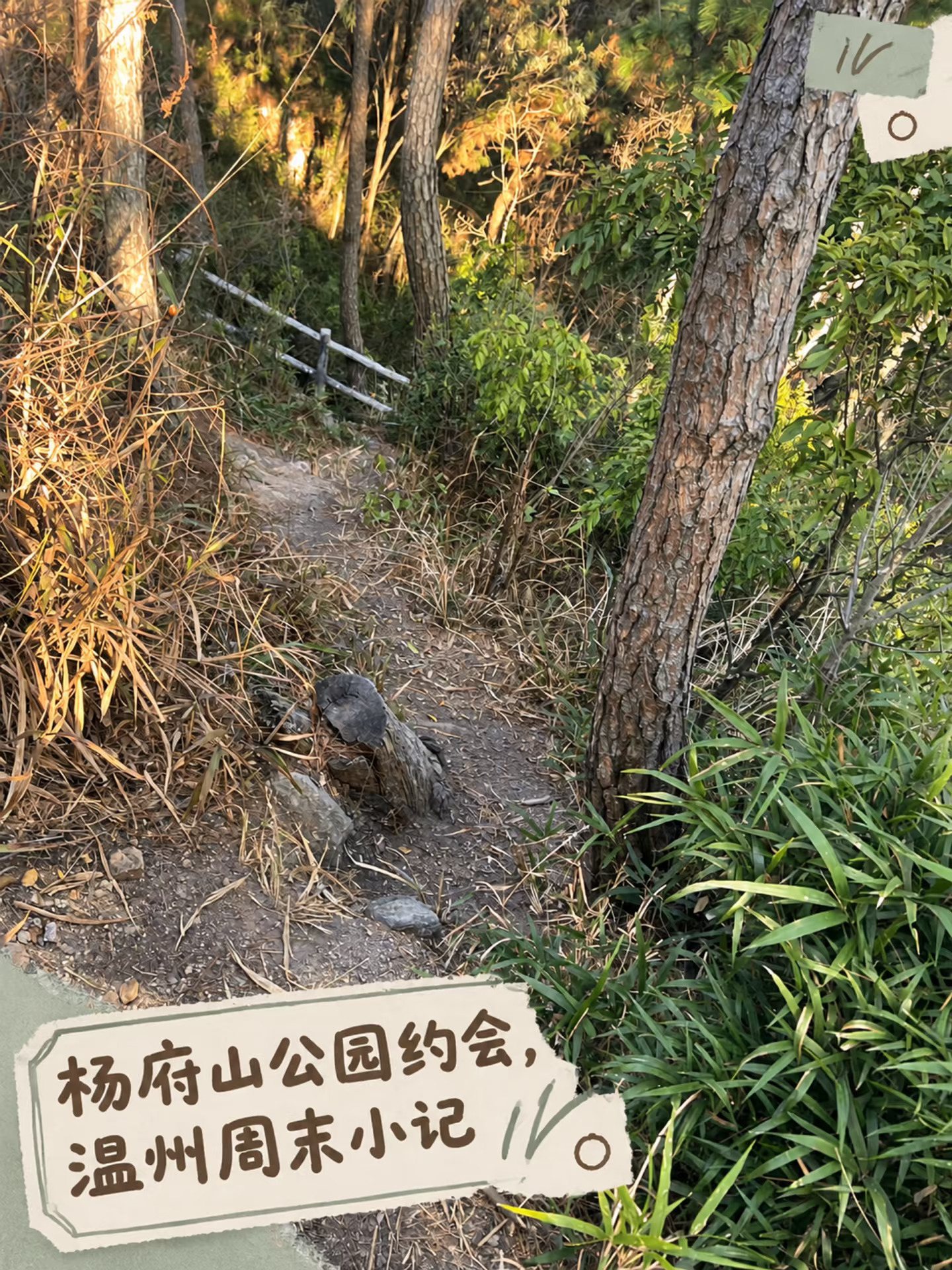杨府山公园约会，温州周末小记