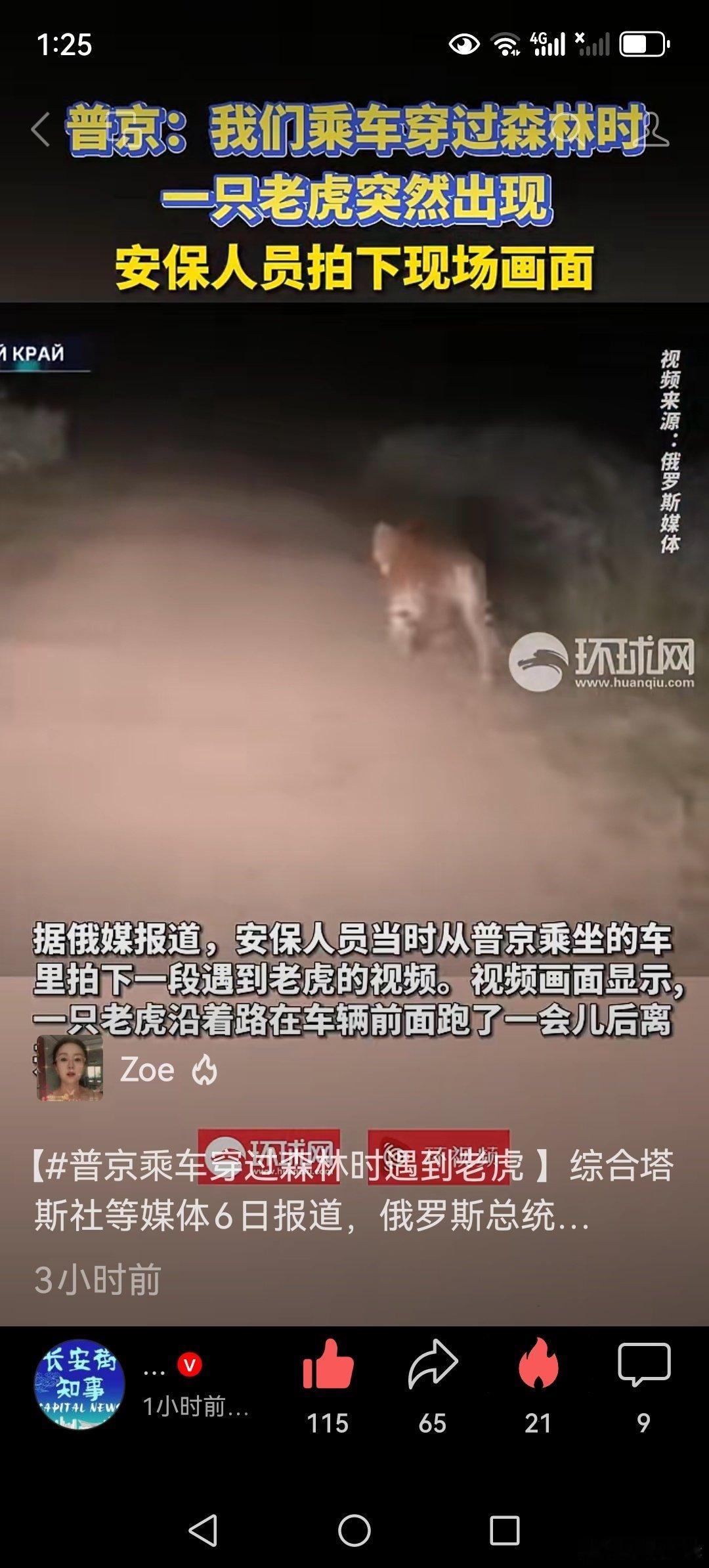 老虎遇老虎🐯🐯🐯🐯🐯🐯 ​