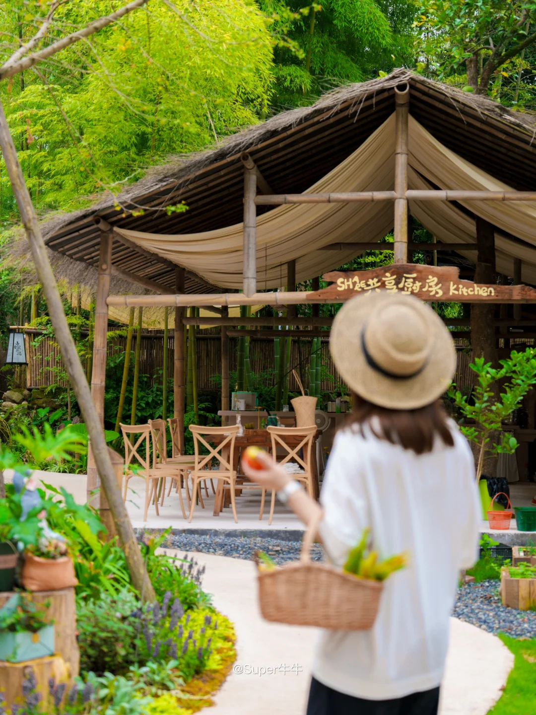 成都1.5h🍃新开❗️溪谷旁的「森林小木屋」🛖✔️