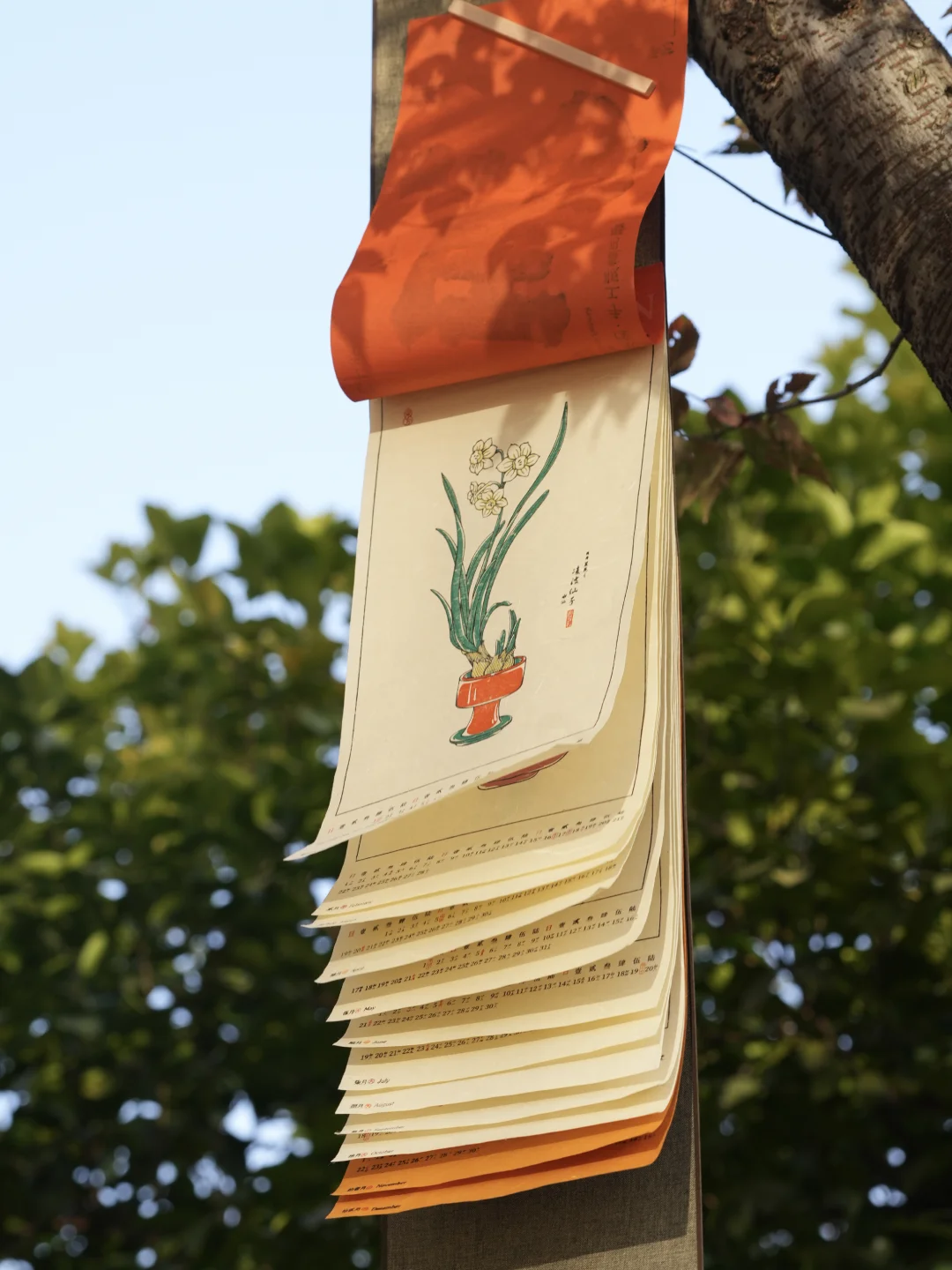 2026前的最后一月，我想你应该拥有它