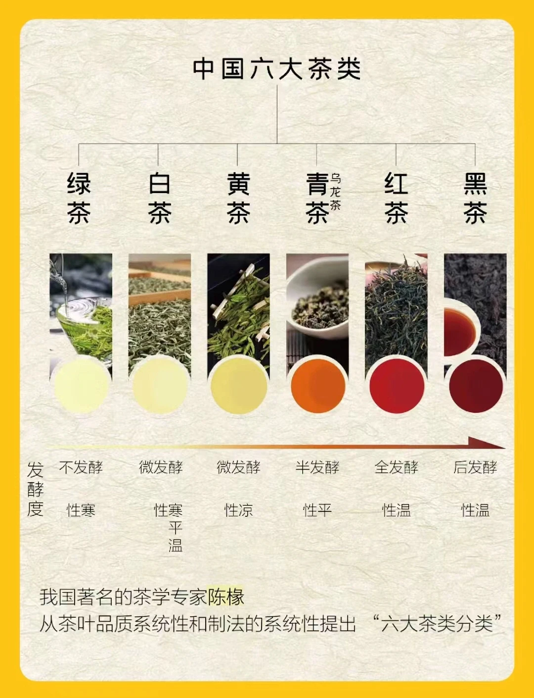 中国六大茶类如何区分，我来告诉你