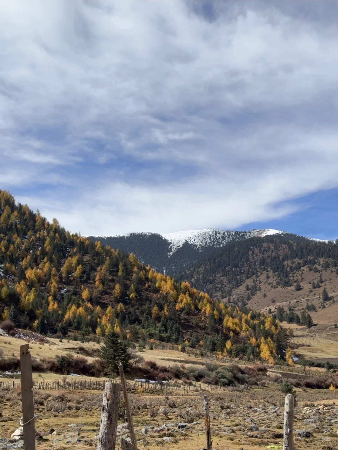 补足心气，人的心气是可以重新养回来的，是靠长时间的极致的独处，大量的睡...