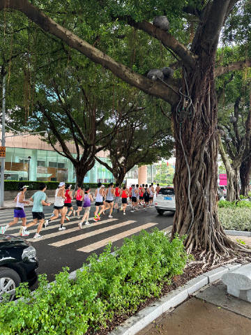 我好幸运 <br />已经做好了台风不能跑的心理建设，来的路上把鞋都收...