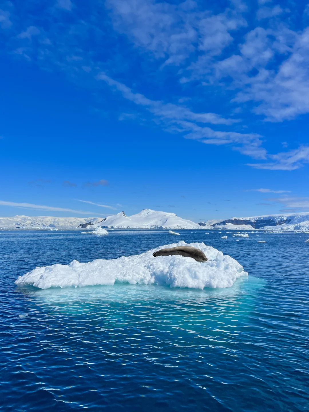 总有一天！你会来到世界的尽头-南极❗️❗️