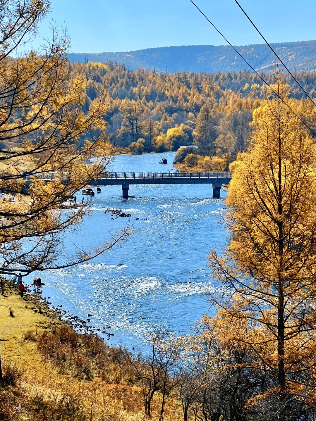好爱秋天的阿尔山啊😭… 𝚙𝚕𝚘𝚐