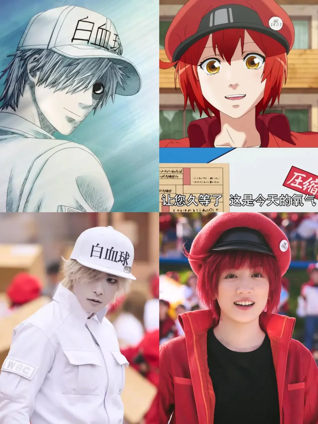 《工作细胞》也能漫改真人版？？？？