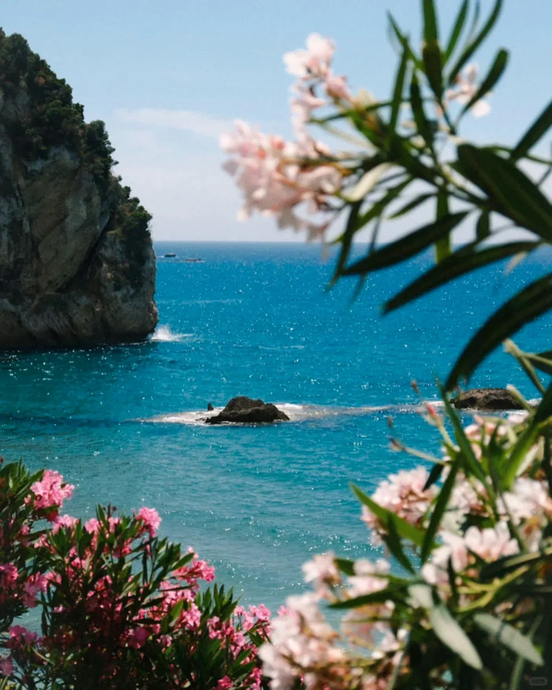 浪漫至死不渝📸🌸💖✨