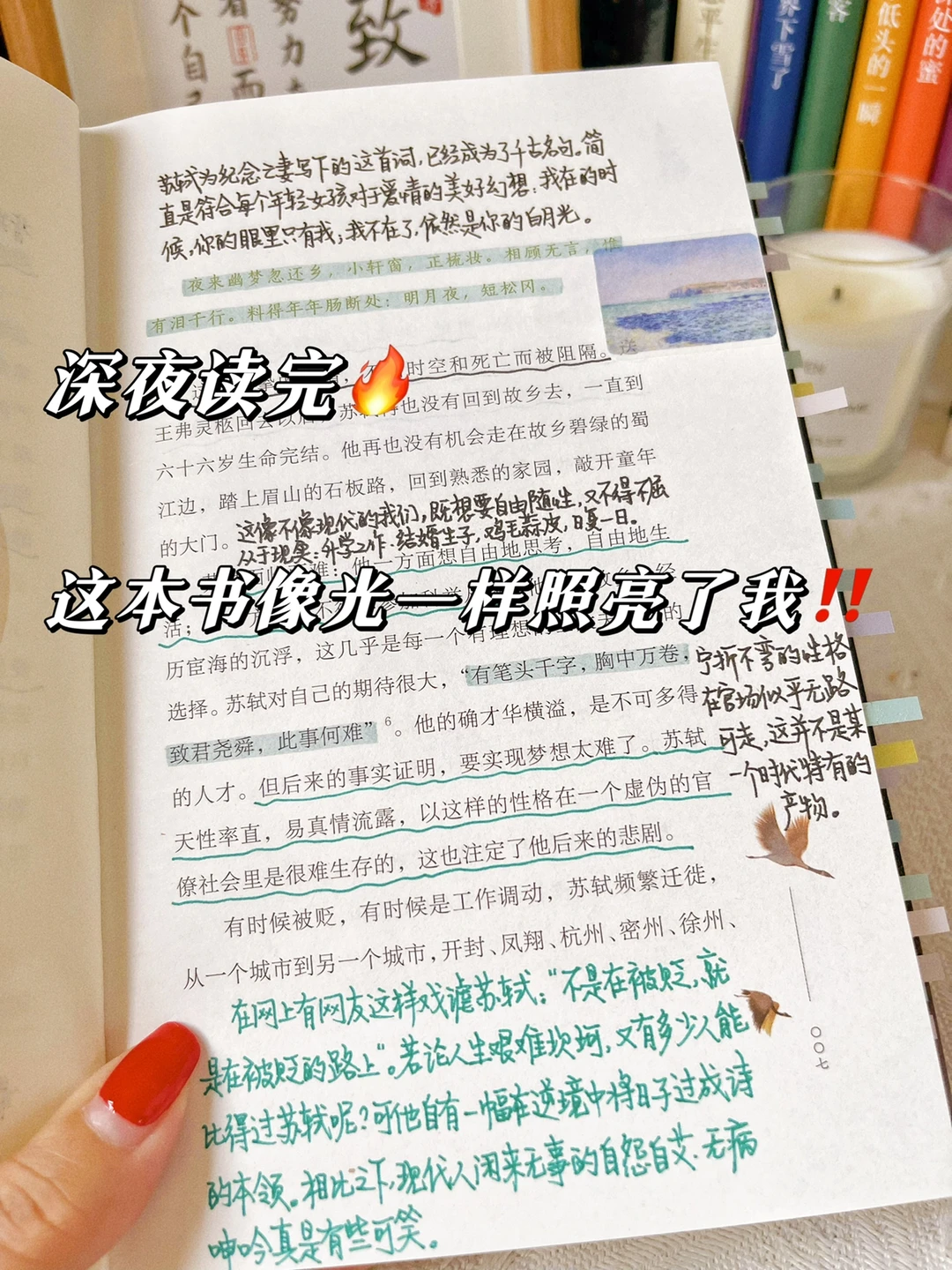 读苏轼的逆旅人生😭我却想要他那样的亲情、爱情和友情‼️