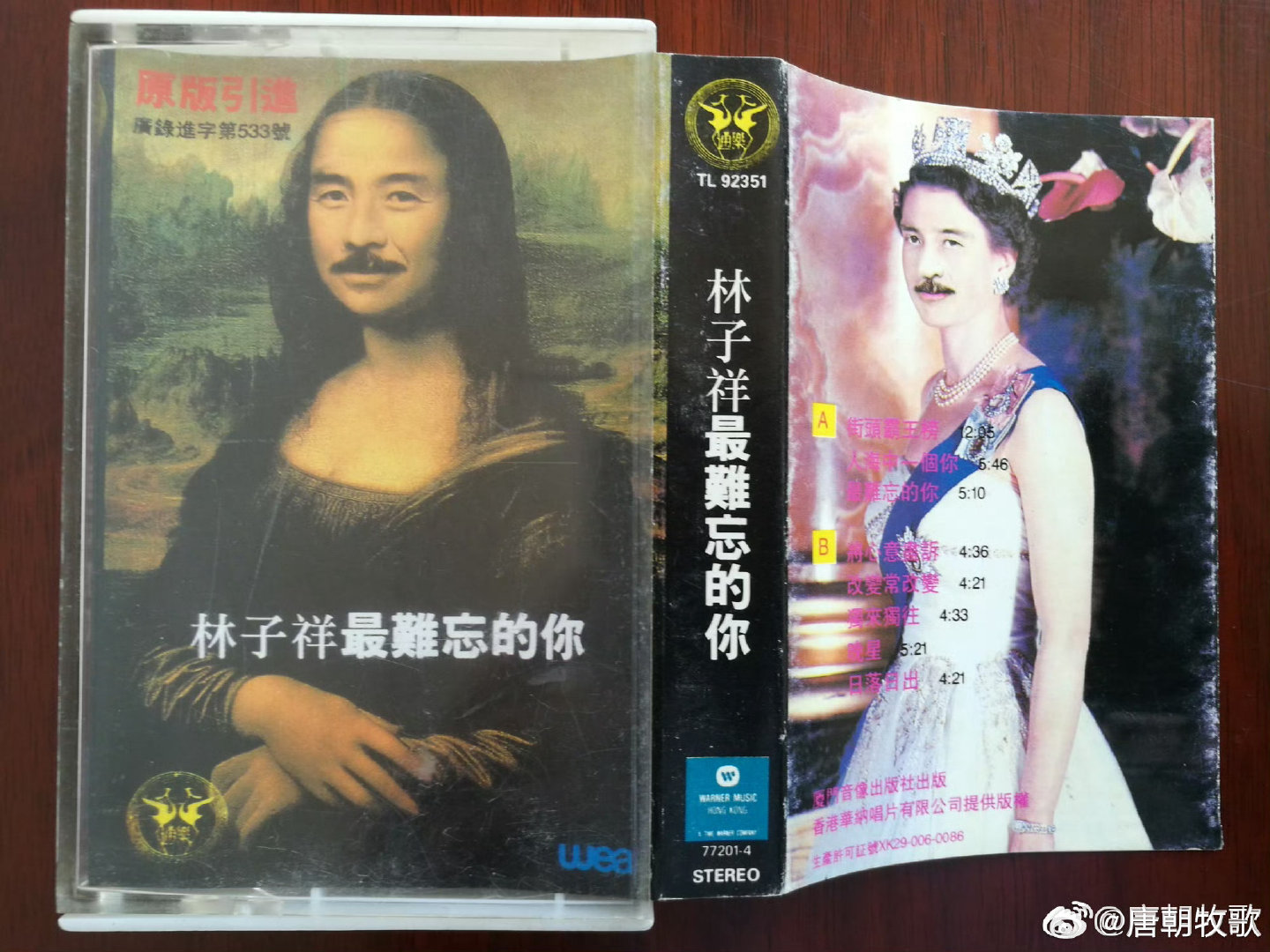 林志炫，林志颖，林子祥，张宇，庾澄庆，林心如，苏芮，杭叶 ​