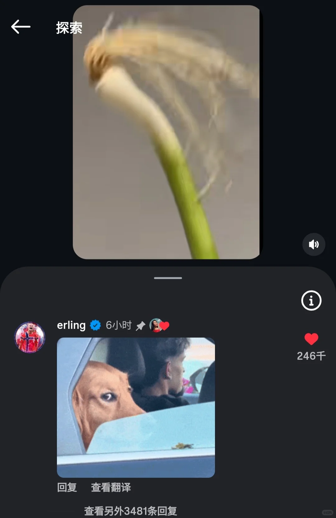 哈兰德的网速有点太快