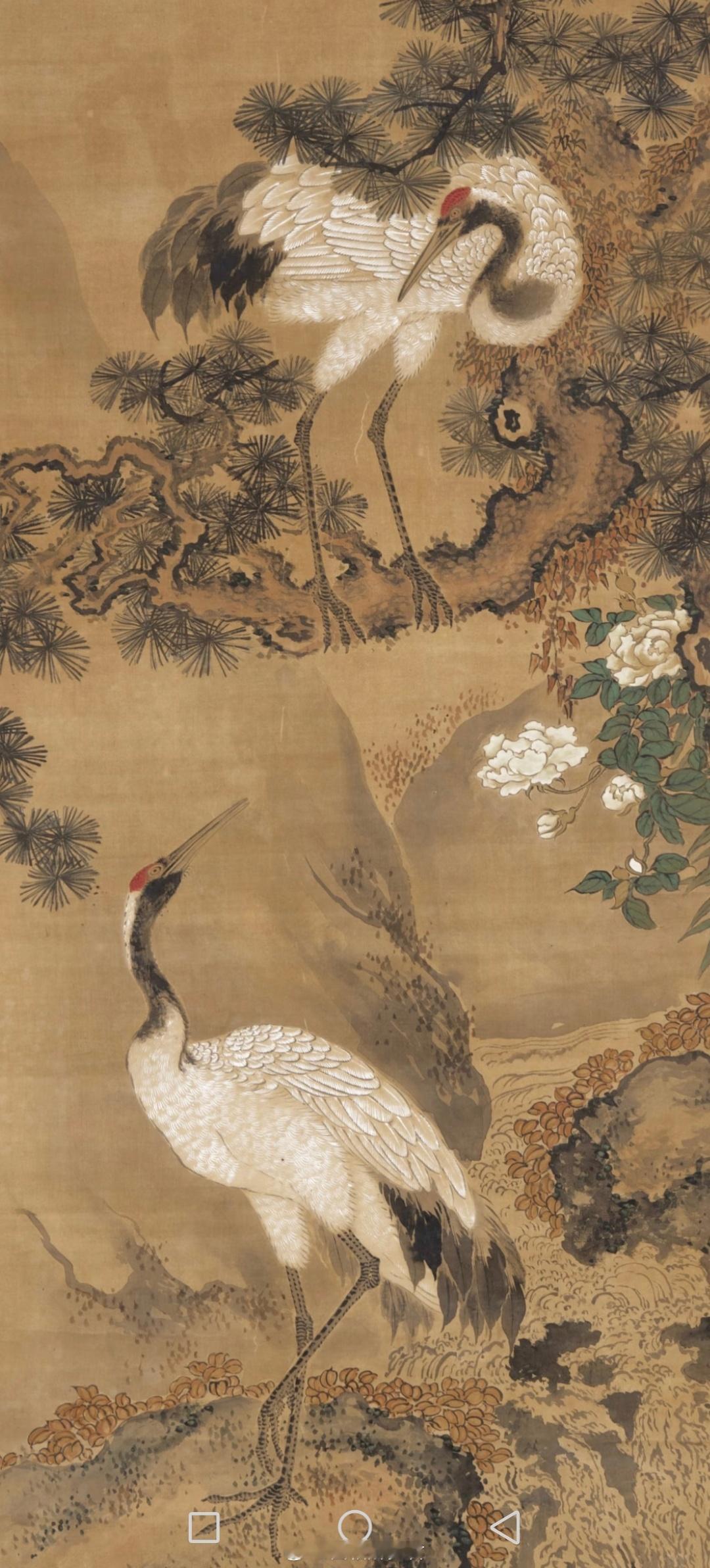 丙午年戊戌月月运——感情方面运势（10.8-11.6）逢人就笑，喜欢露出两颗大门牙的，这个月桃花旺；两侧酒窝在两侧嘴角的延长线上，这个月桃花旺；太阳穴附近，也就是夫妻宫有十字纹，为自选孤独相，不想和他人走太近，把自己孤立起来了；掀开上眼皮，眼睛朝下看，在瞳孔正上方眼白处有两个平行的小黑点，为白虎抬头相，接下来遇到的桃花是白虎桃花，白虎为西方凶煞星，此桃花又名刑伤桃花，主大难；鼻子很突出，颧骨非常薄的人，为独身主义，尽量保持独身主义，一旦想踏入情感婚姻，容易会被他人做局；鼻子非常塌陷，两侧颧骨有力，如果自身是个重情重义的人，切不可踏入情感婚姻，刑伤配偶；男命女声，女命男声，为投错胎之相，接下来不利于感情，即便遇到自己很爱的人，也难有好结果；手指并拢，男左女右，无名指和中指之间的缝隙比较明显的人容易异地恋；夜梦做饭找油，一个月内有新感情。