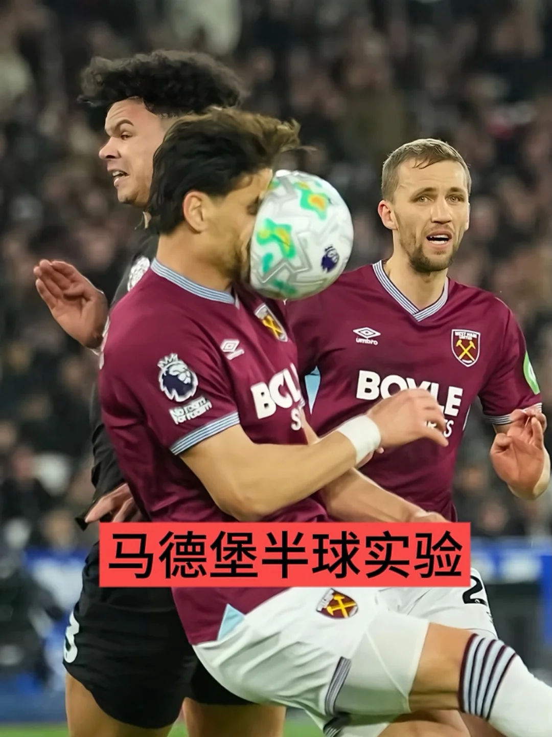 早知道这么好笑我就早点看了