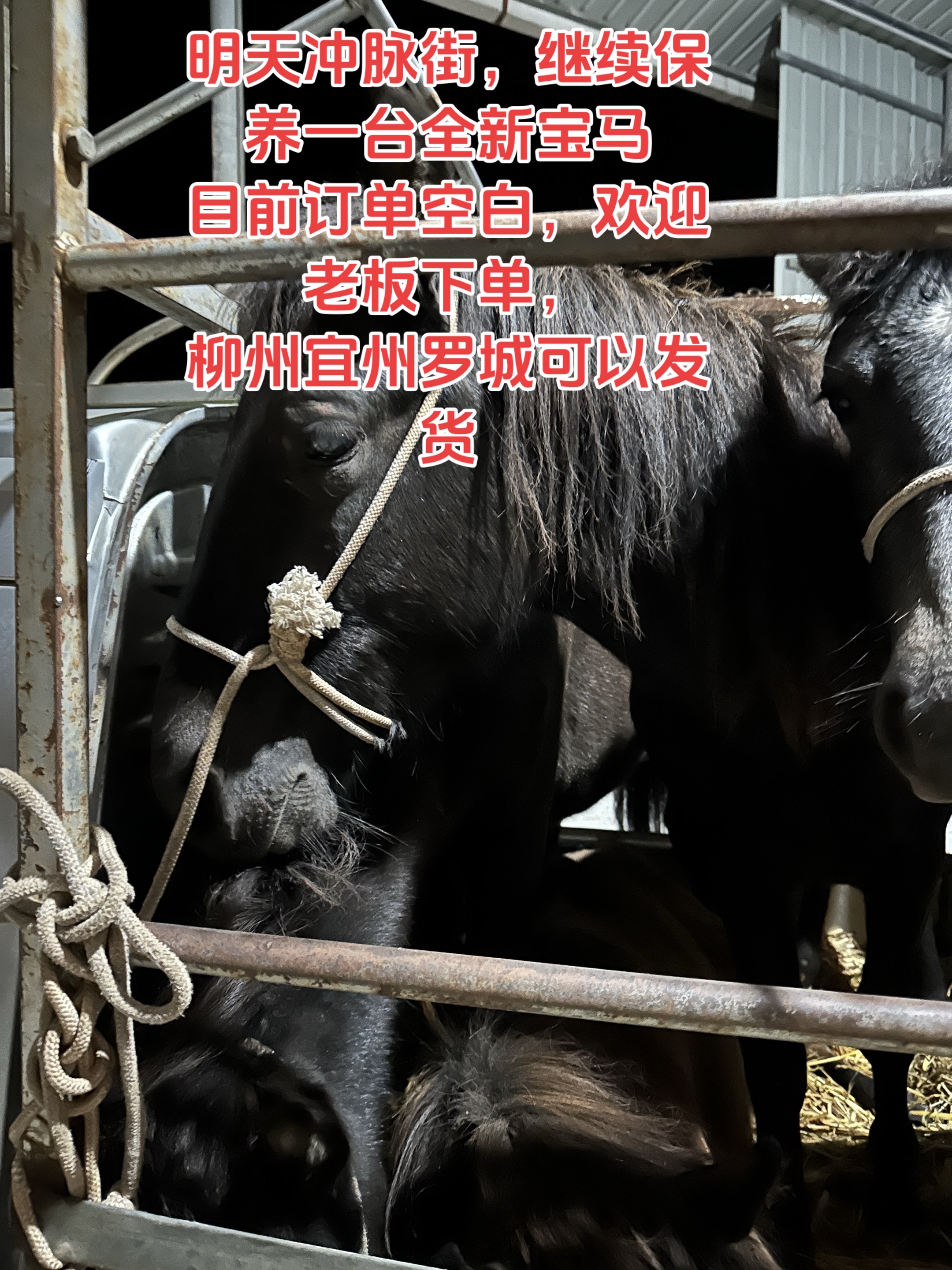 宝马