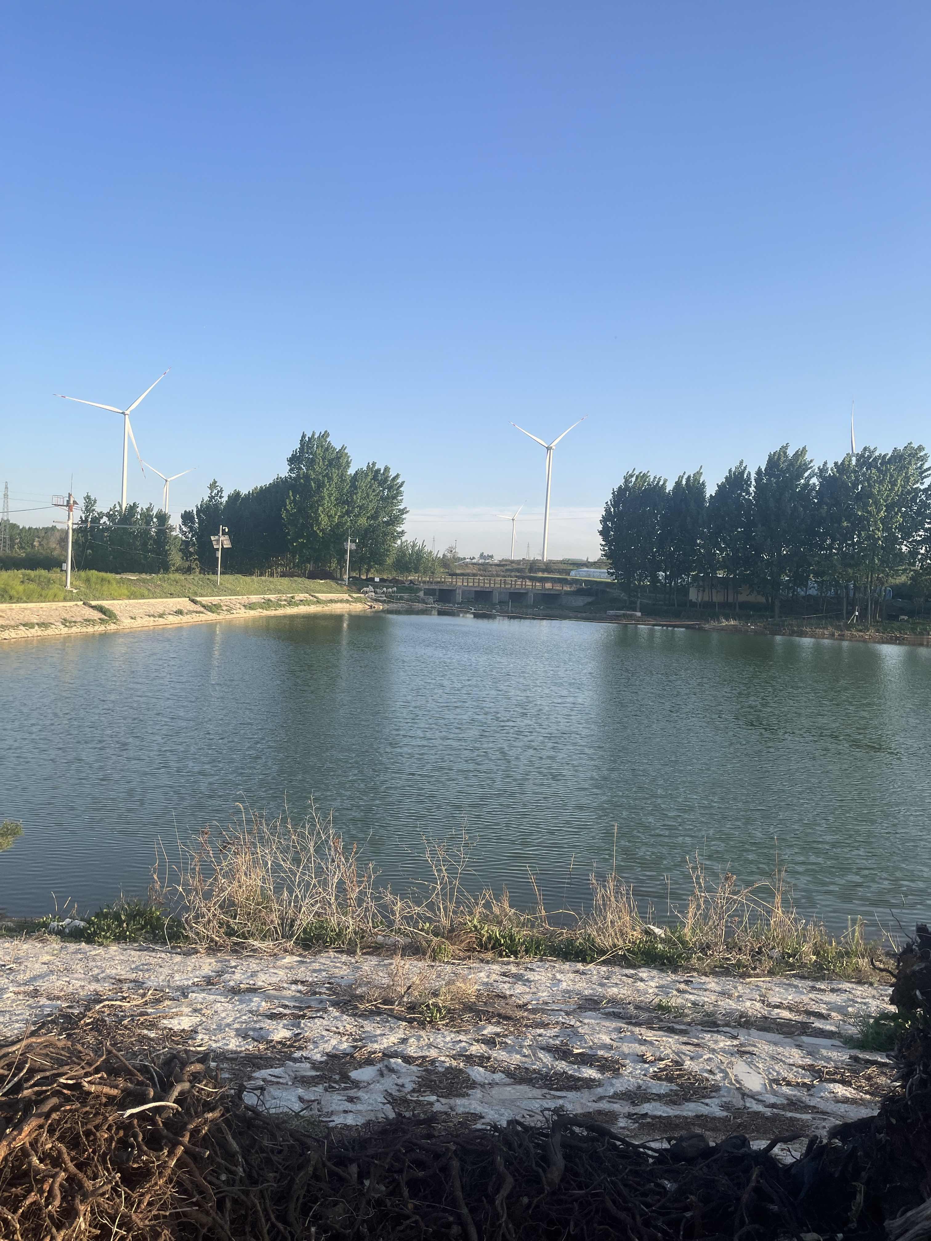 特斯拉要停产 Model S / Model X：不是“砍掉两款车”...