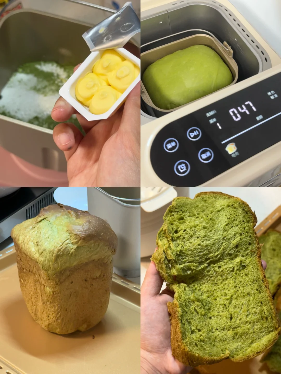 面包机一键抹茶生吐司制作/一次成功🌷